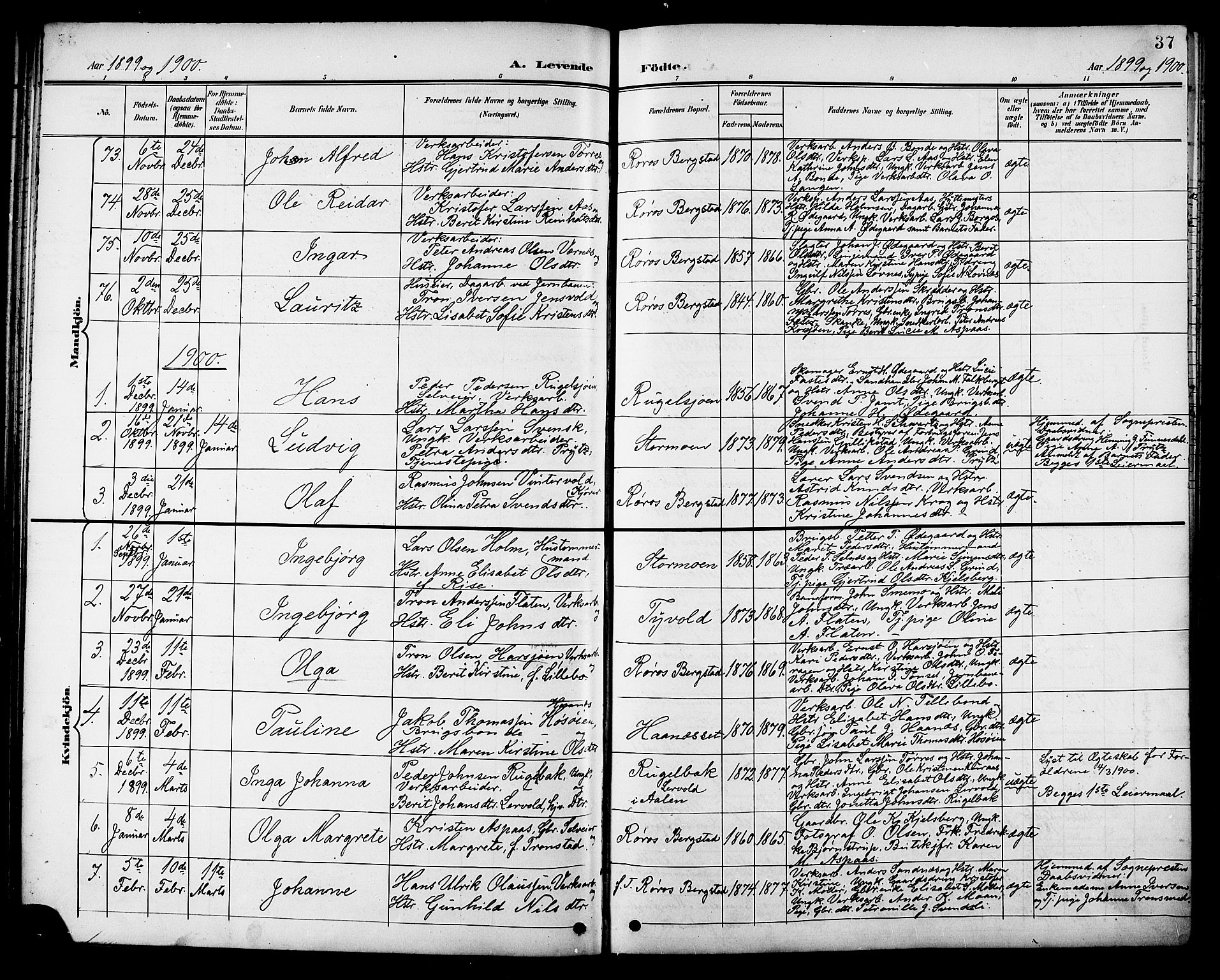 Ministerialprotokoller, klokkerbøker og fødselsregistre - Sør-Trøndelag, SAT/A-1456/681/L0941: Parish register (copy) no. 681C05, 1896-1905, p. 37