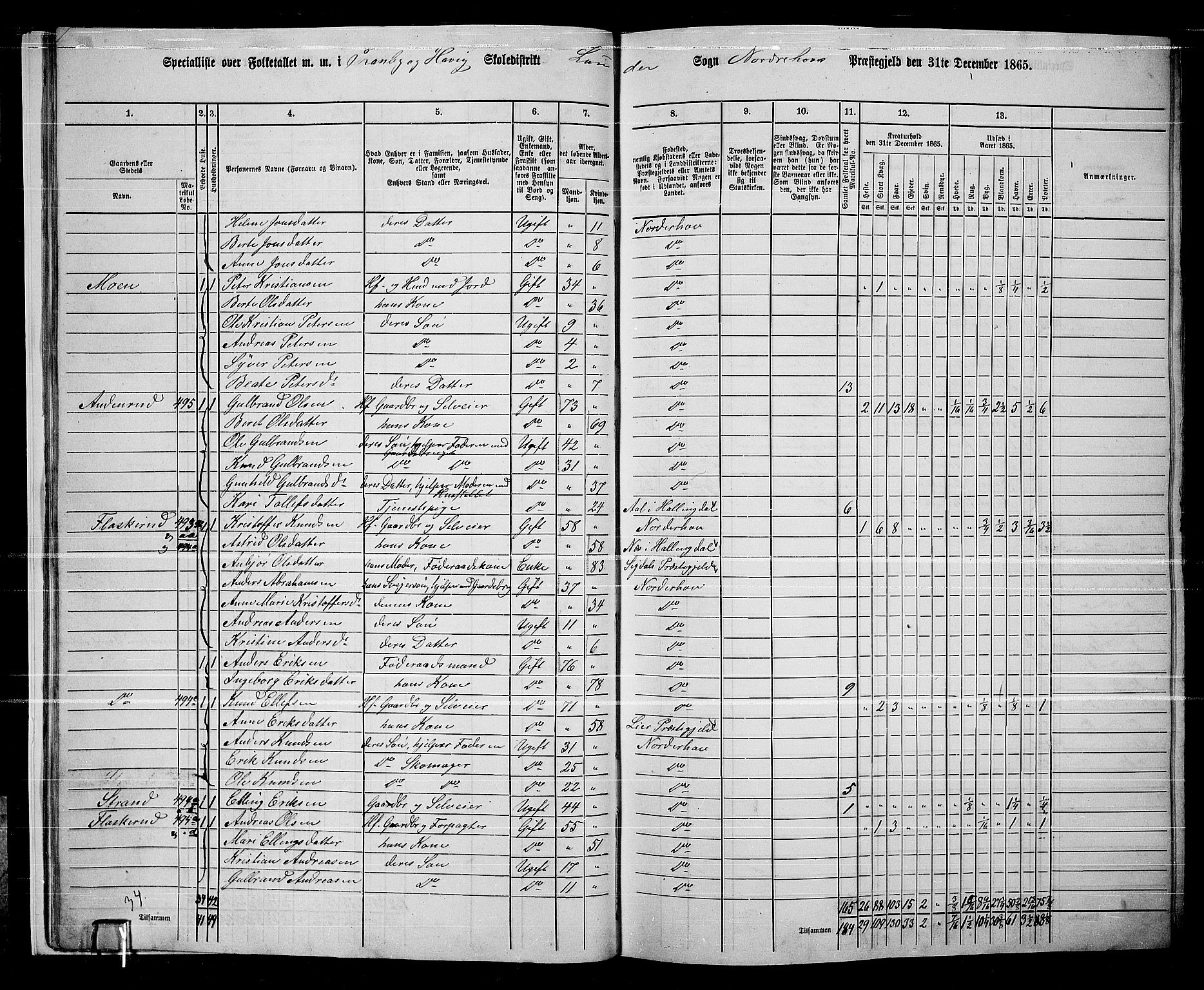 RA, 1865 census for Norderhov/Norderhov, Haug og Lunder, 1865, p. 22