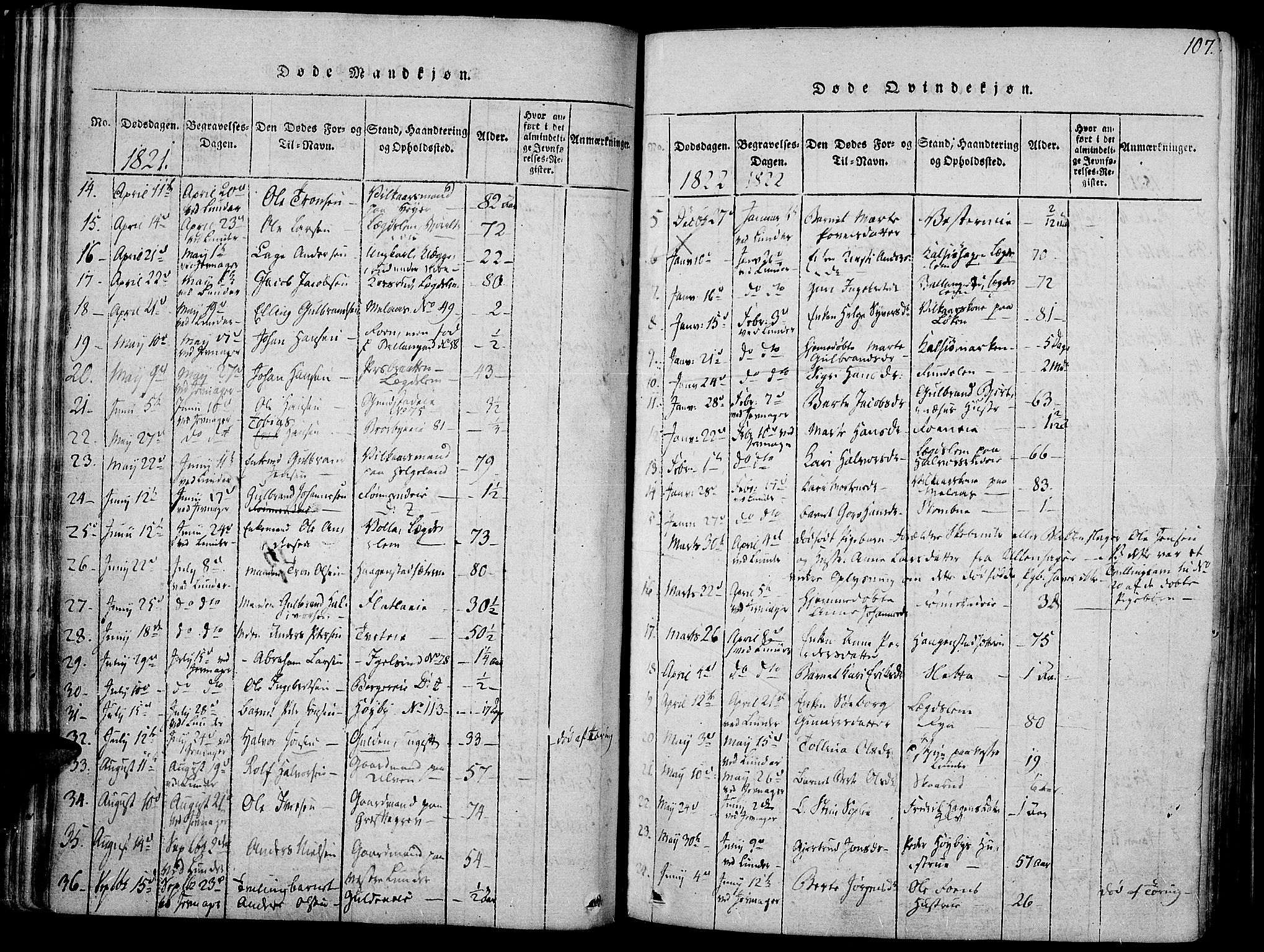 Jevnaker prestekontor, AV/SAH-PREST-116/H/Ha/Haa/L0005: Parish register (official) no. 5, 1815-1837, p. 107