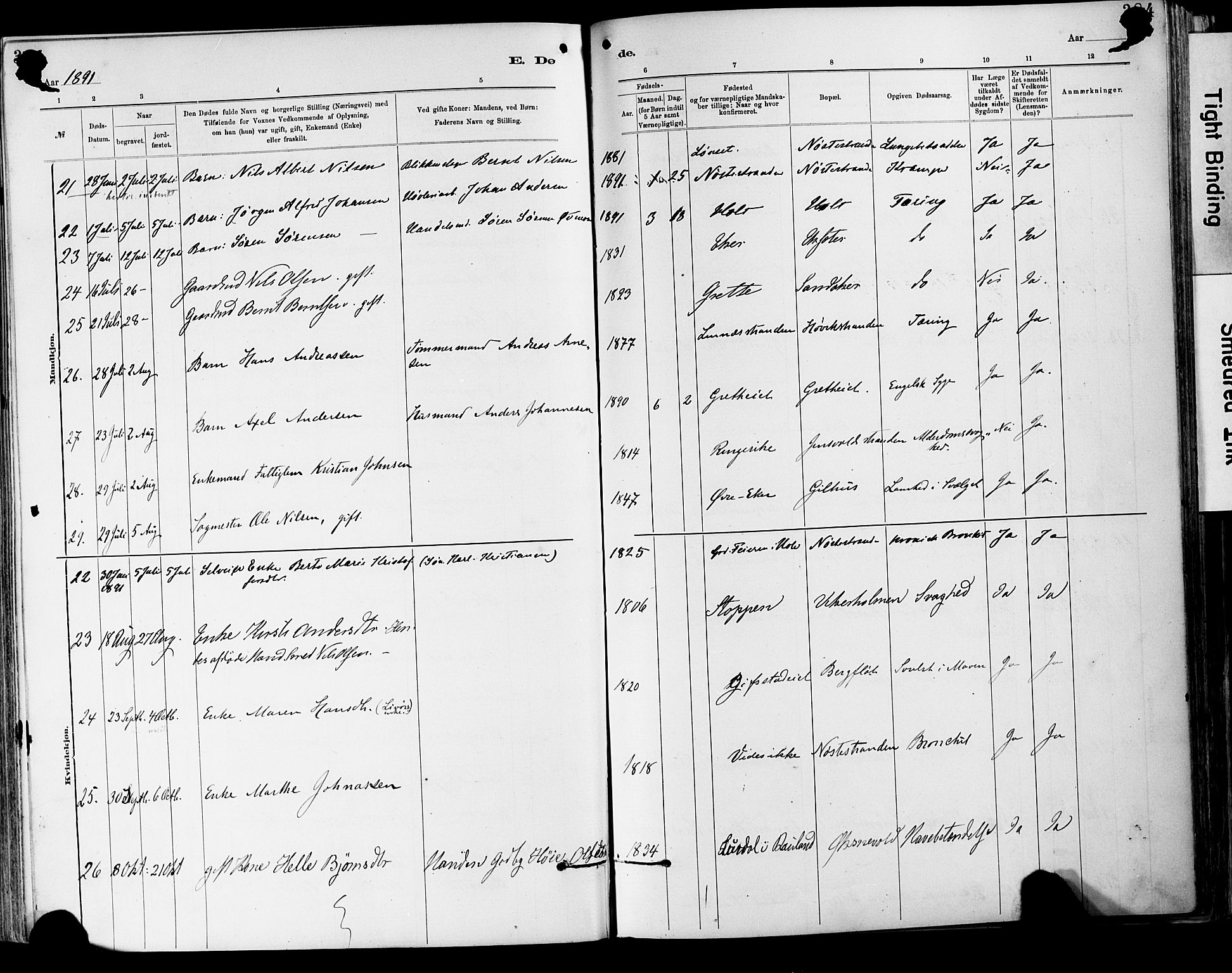 Lier kirkebøker, AV/SAKO-A-230/F/Fa/L0015: Parish register (official) no. I 15, 1883-1894, p. 384