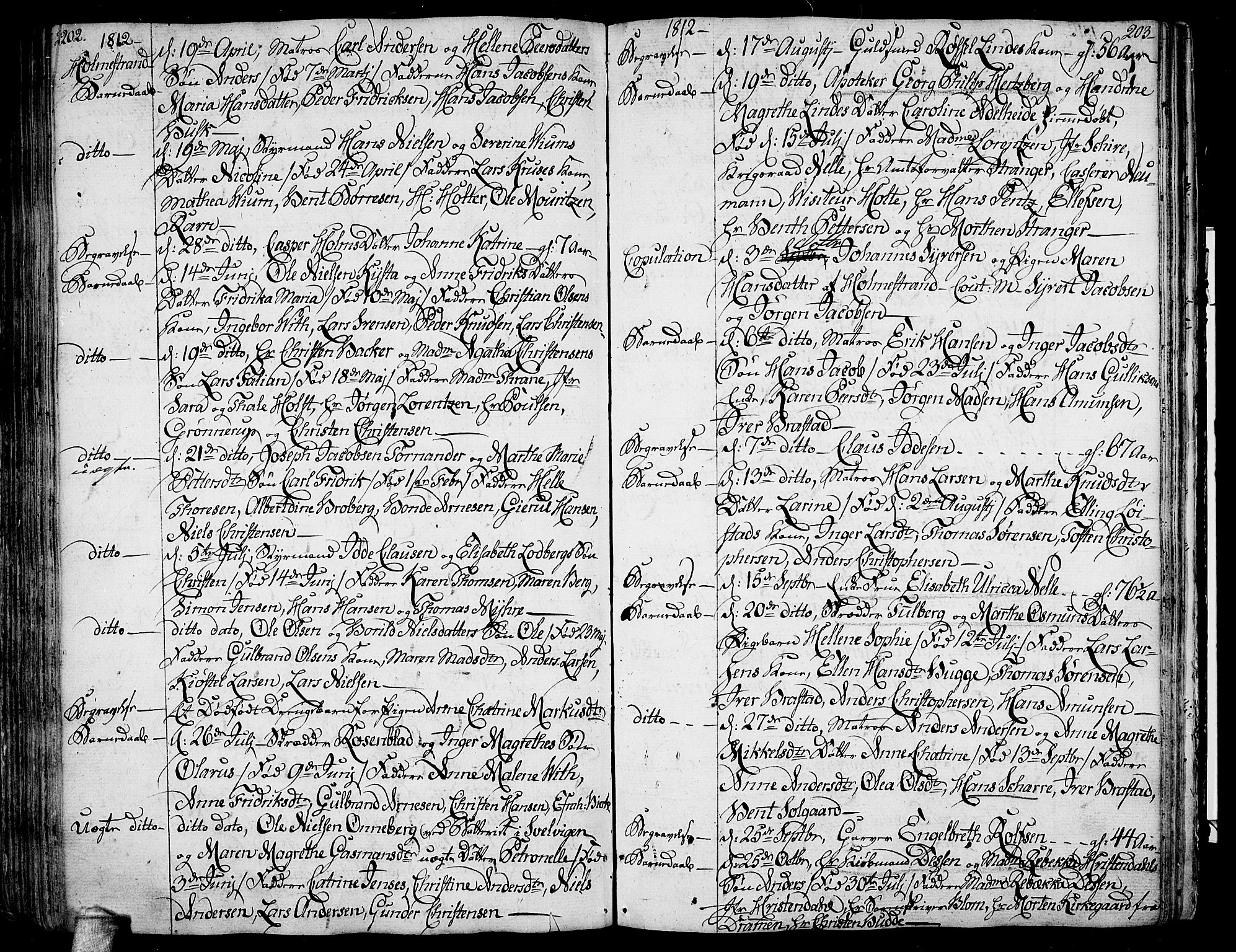 Botne kirkebøker, SAKO/A-340/F/Fa/L0003: Parish register (official) no. I 3 /2, 1799-1819, p. 202-203