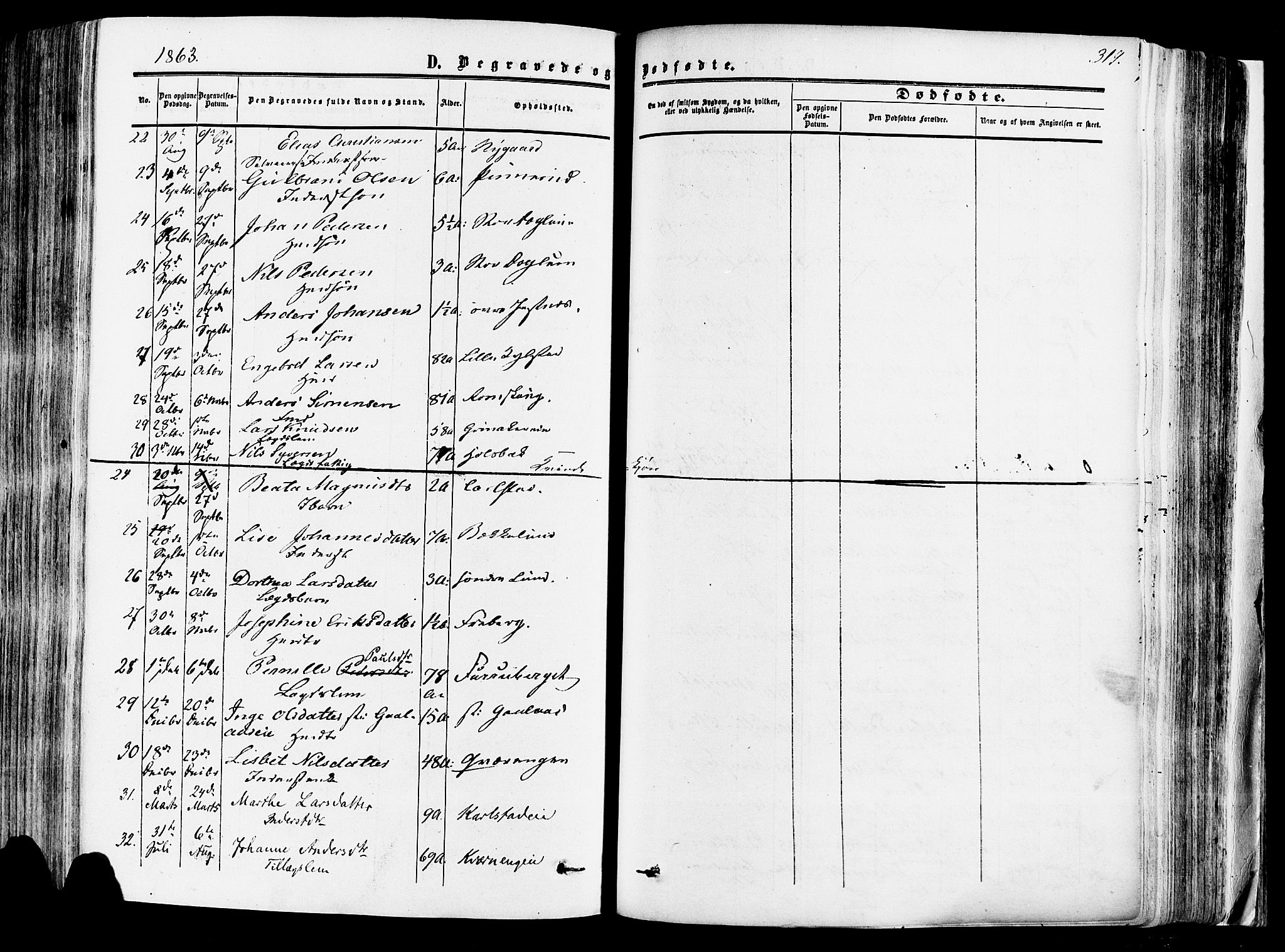 Vang prestekontor, Hedmark, SAH/PREST-008/H/Ha/Haa/L0013: Parish register (official) no. 13, 1855-1879, p. 319