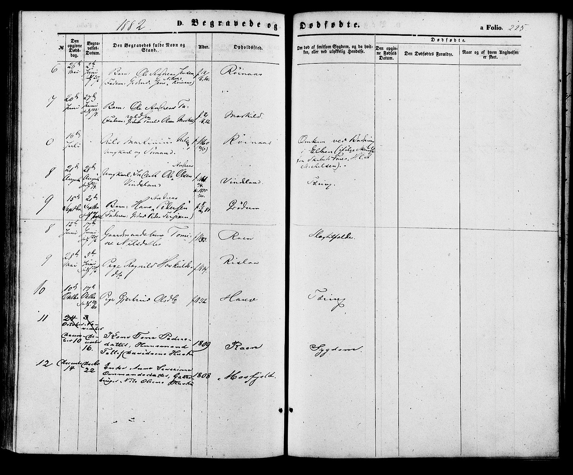 Birkenes sokneprestkontor, AV/SAK-1111-0004/F/Fa/L0004: Parish register (official) no. A 4, 1867-1886, p. 225