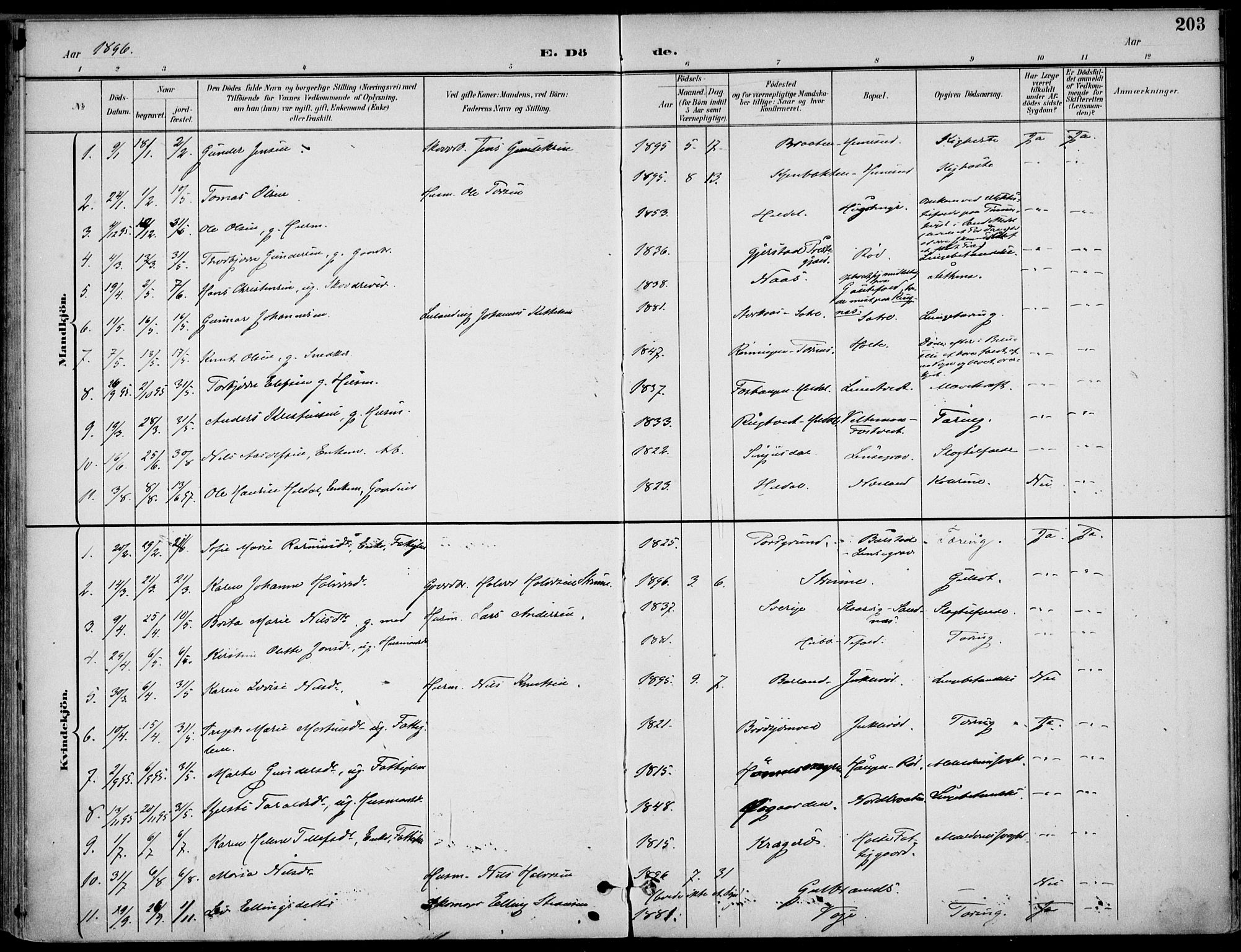 Drangedal kirkebøker, SAKO/A-258/F/Fa/L0012: Parish register (official) no. 12, 1895-1905, p. 203