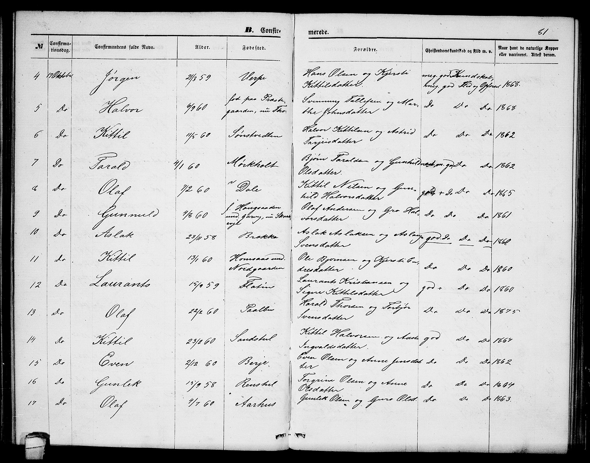 Seljord kirkebøker, AV/SAKO-A-20/G/Ga/L0004: Parish register (copy) no. I 4, 1873-1886, p. 81