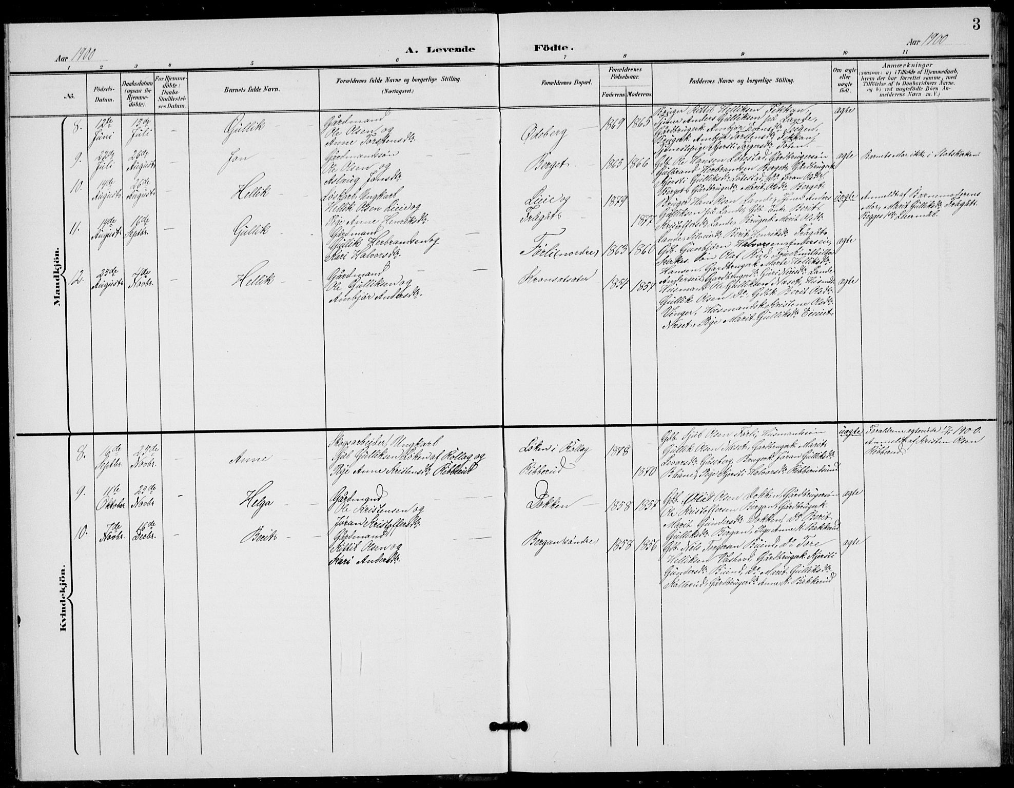 Flesberg kirkebøker, SAKO/A-18/G/Ga/L0005: Parish register (copy) no. I 5, 1899-1908, p. 3