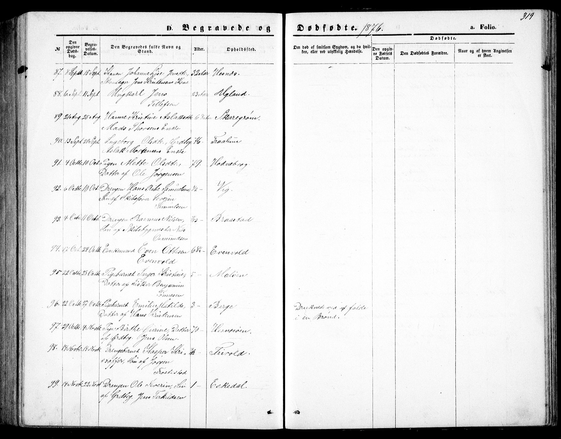 Fjære sokneprestkontor, AV/SAK-1111-0011/F/Fb/L0010: Parish register (copy) no. B 10, 1871-1880, p. 319