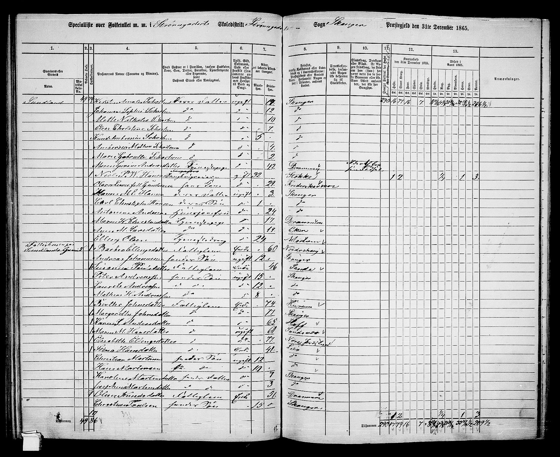 RA, 1865 census for Skoger, 1865, p. 126