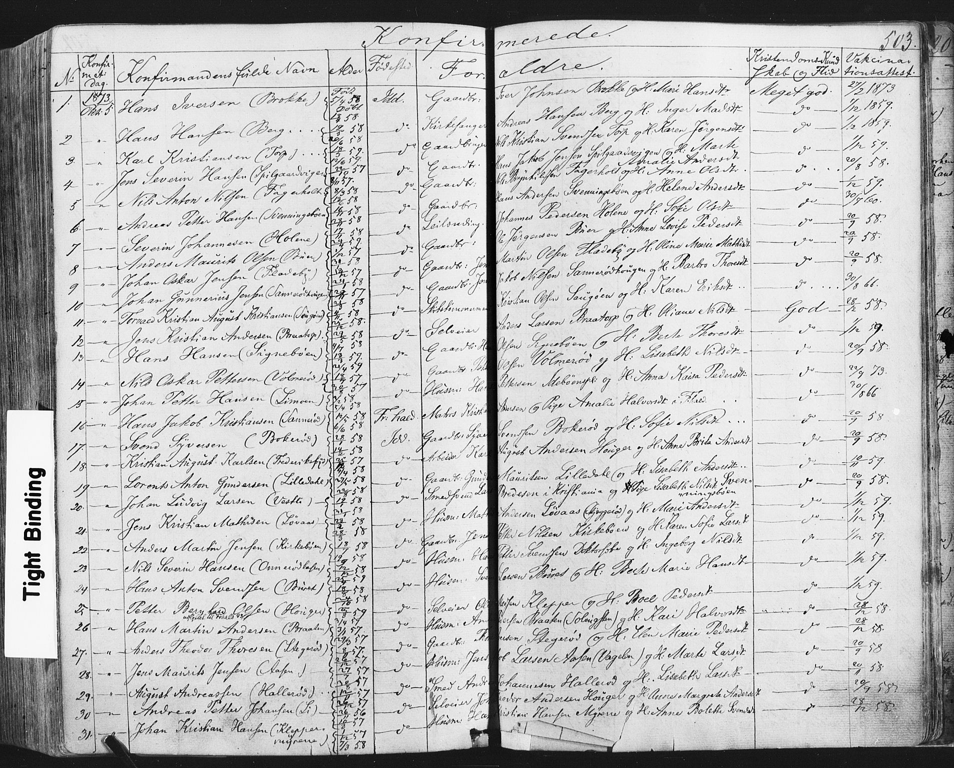 Idd prestekontor Kirkebøker, SAO/A-10911/F/Fc/L0005: Parish register (official) no. III 5, 1861-1877, p. 503