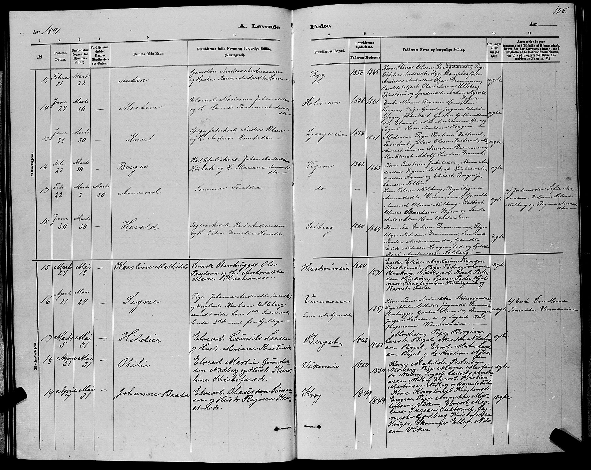 Nedre Eiker kirkebøker, AV/SAKO-A-612/G/Ga/L0002: Parish register (copy) no. 2, 1880-1896, p. 125