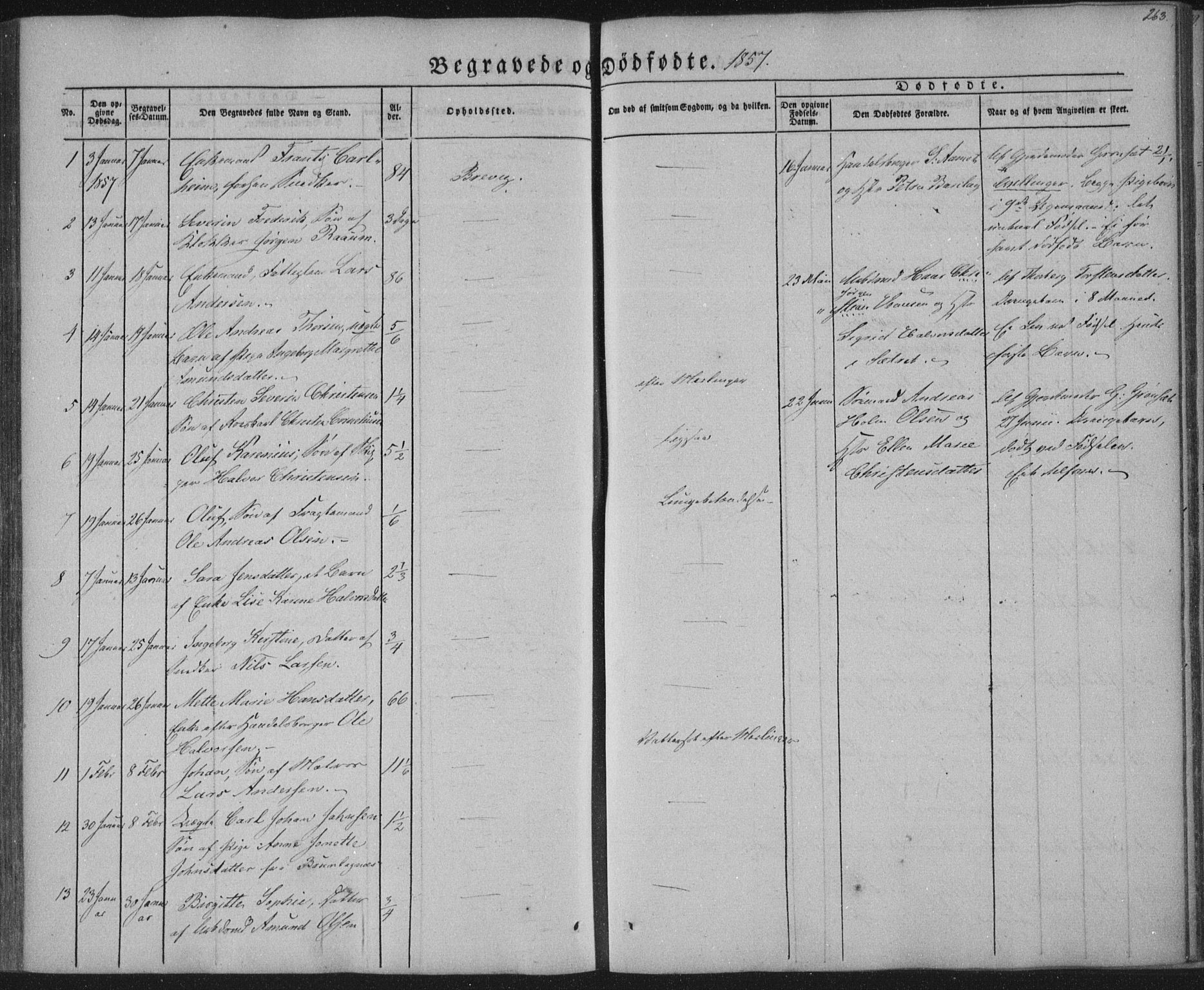 Brevik kirkebøker, SAKO/A-255/F/Fa/L0005: Parish register (official) no. 5, 1847-1865, p. 263