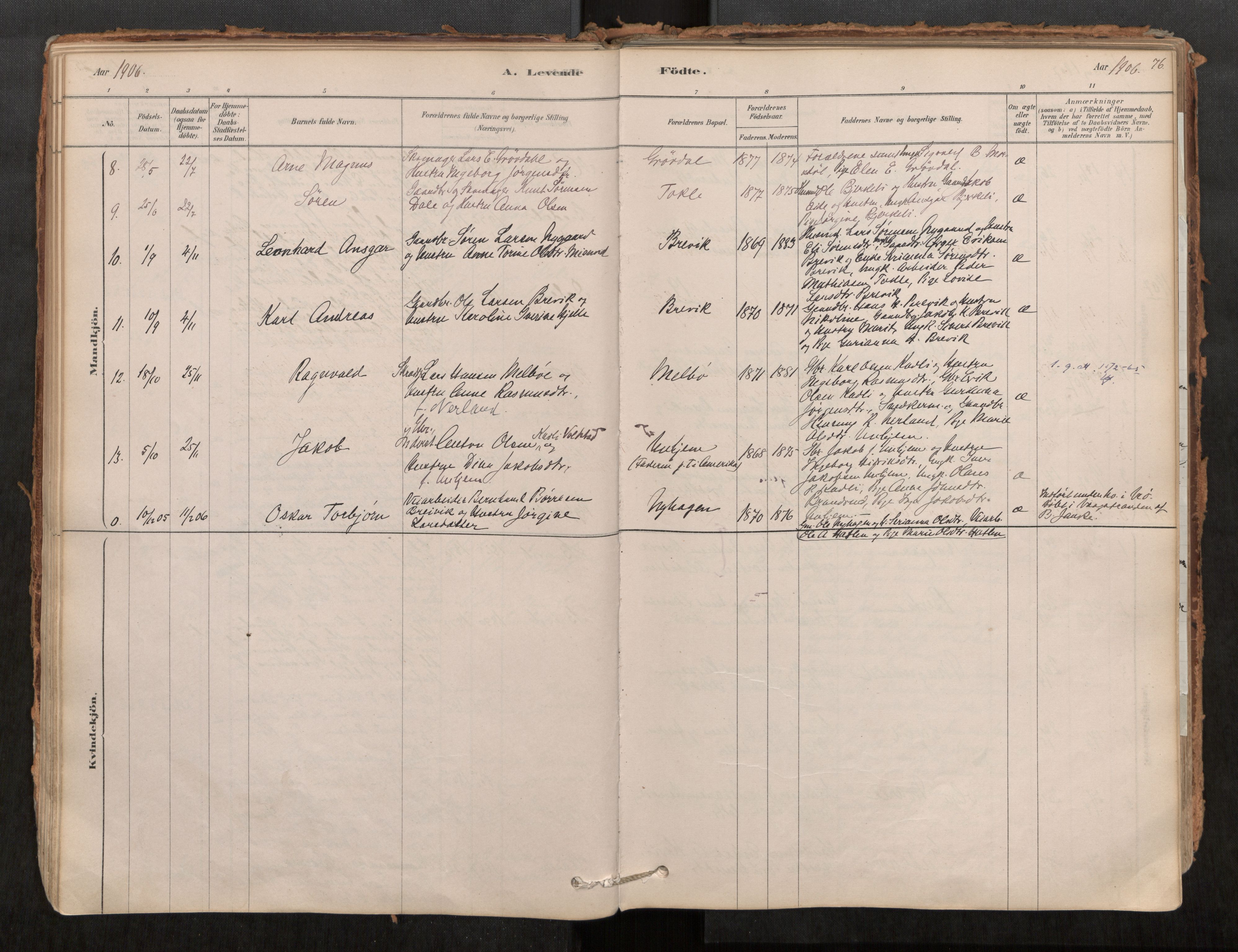 Ministerialprotokoller, klokkerbøker og fødselsregistre - Møre og Romsdal, AV/SAT-A-1454/545/L0594: Parish register (official) no. 545A03, 1878-1920, p. 76