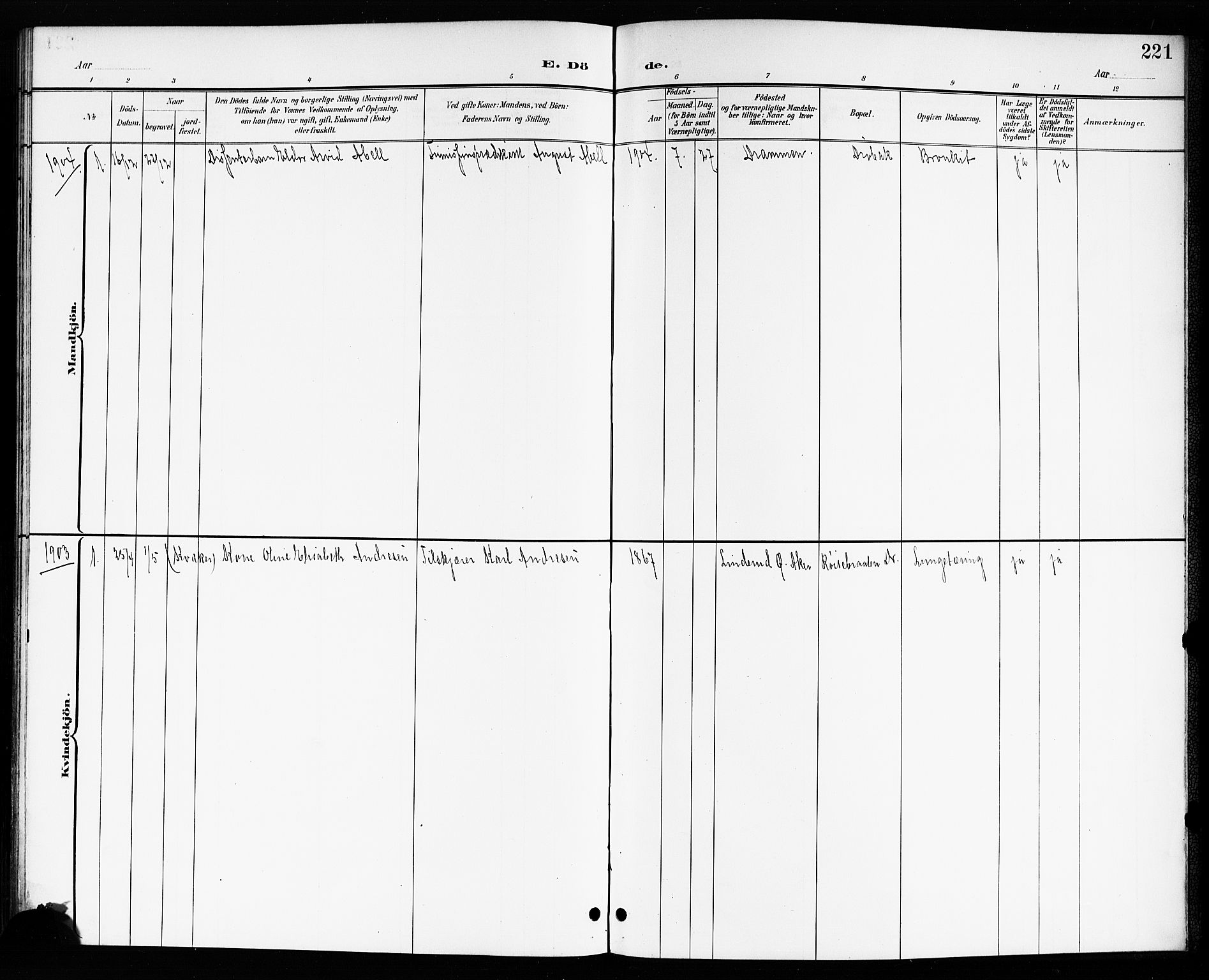 Drøbak prestekontor Kirkebøker, AV/SAO-A-10142a/G/Ga/L0001: Parish register (copy) no. I 1, 1897-1917, p. 221