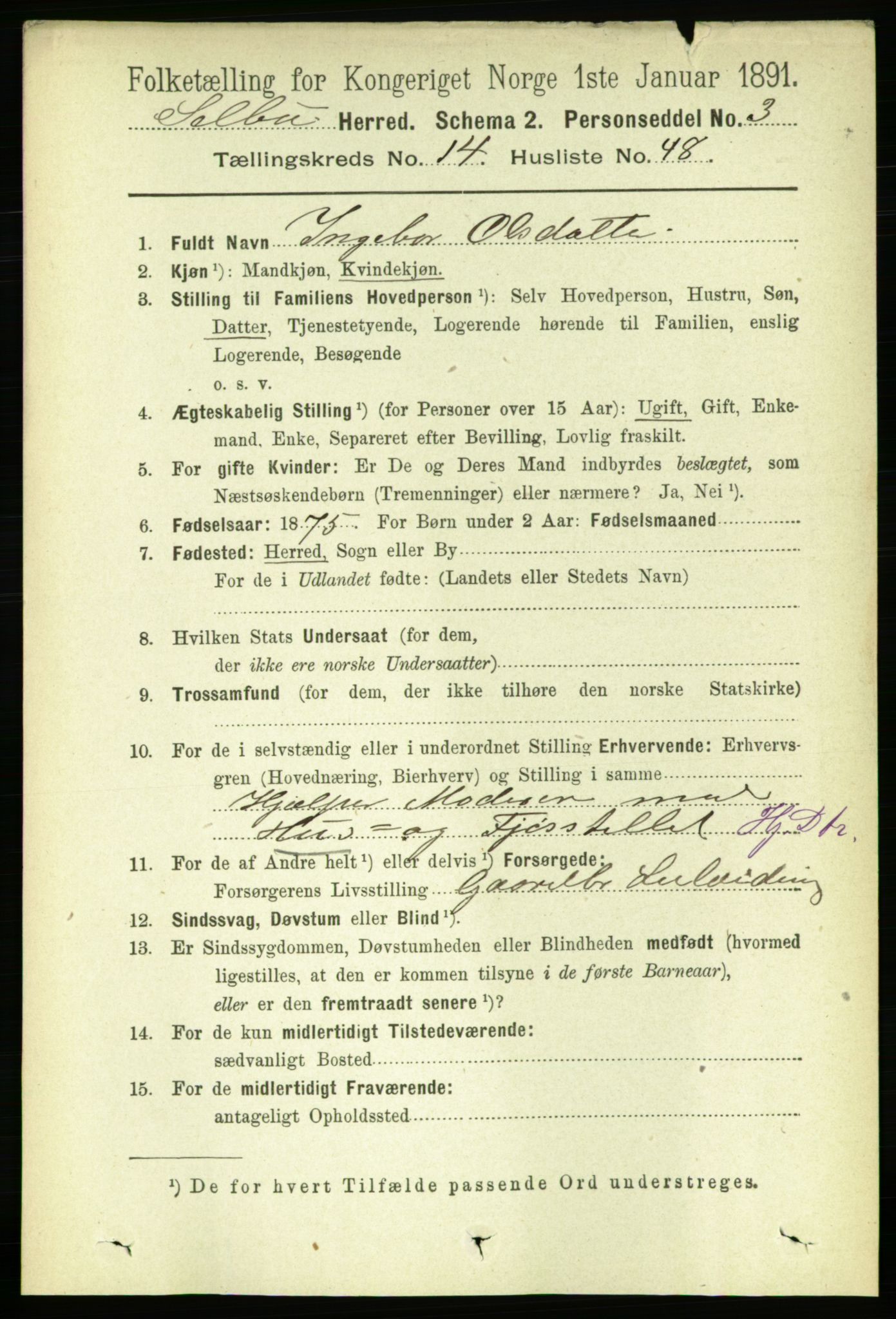 RA, 1891 census for 1664 Selbu, 1891, p. 5387