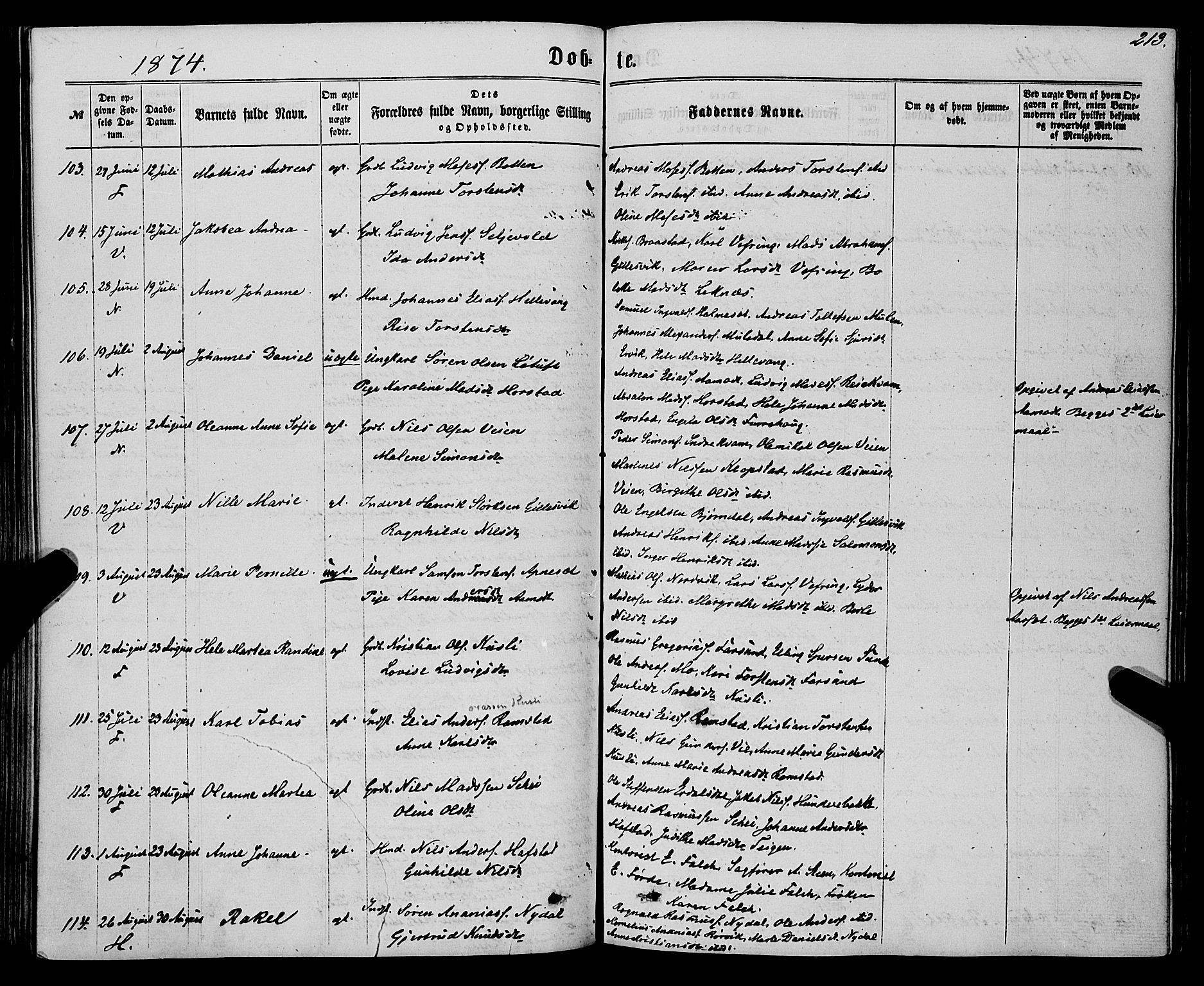 Førde sokneprestembete, AV/SAB-A-79901/H/Haa/Haaa/L0009: Parish register (official) no. A 9, 1861-1877, p. 213