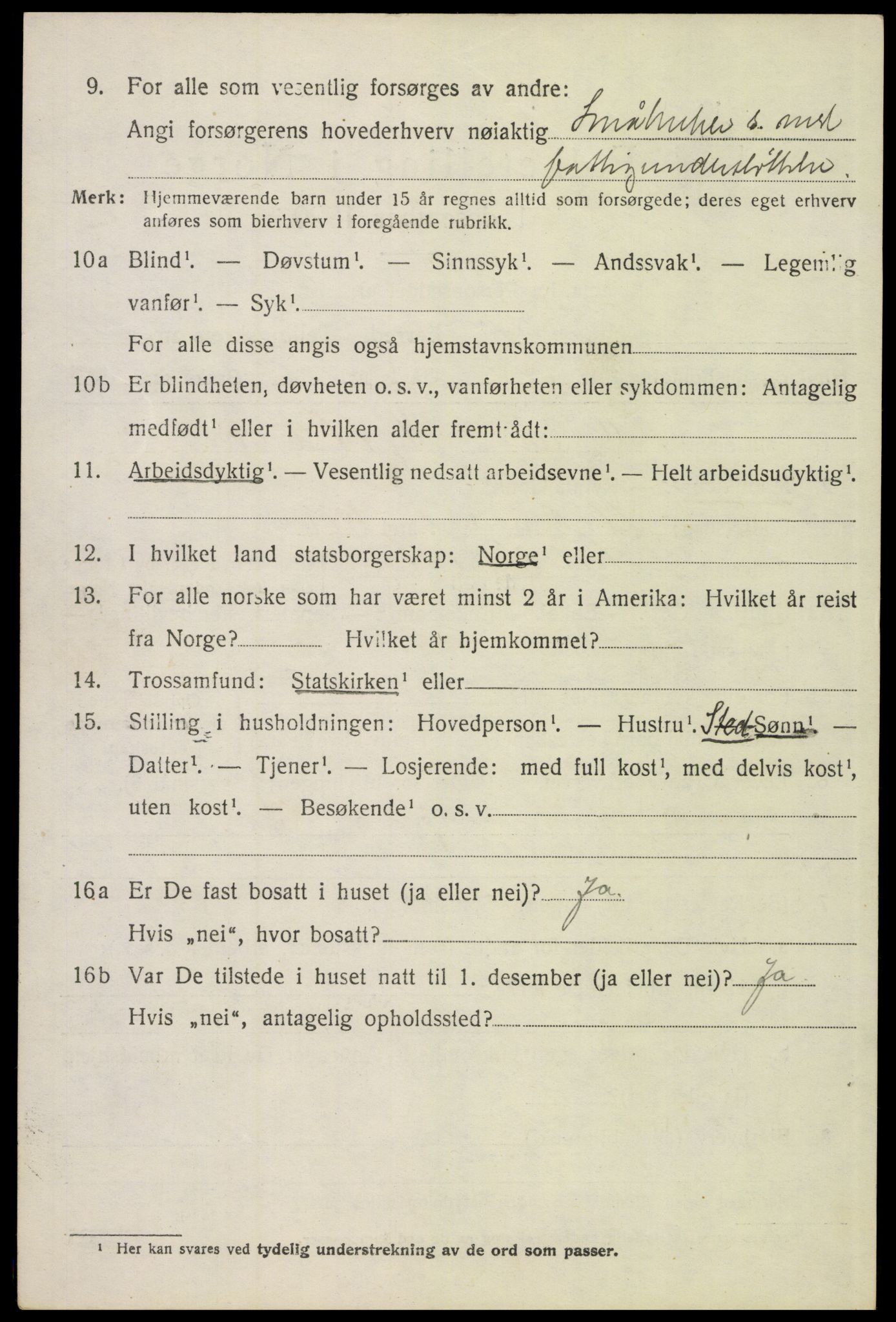 SAH, 1920 census for Tynset, 1920, p. 8497