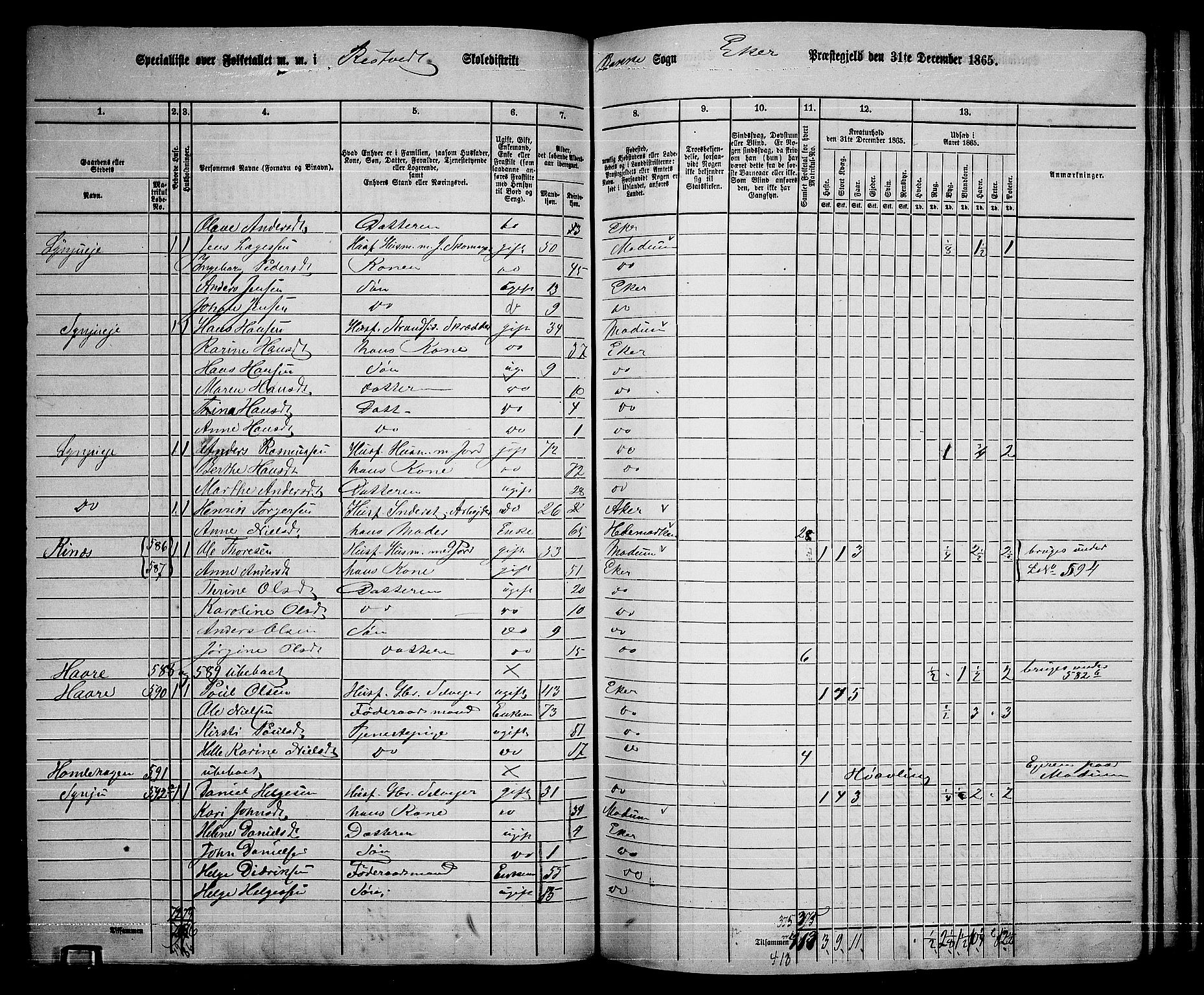 RA, 1865 census for Eiker, 1865, p. 429