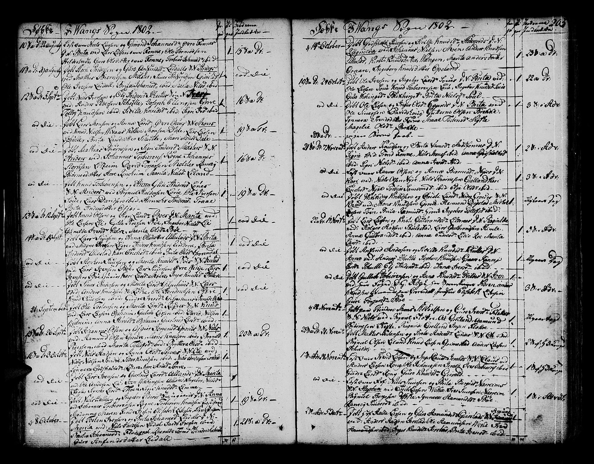 Voss sokneprestembete, SAB/A-79001/H/Haa: Parish register (official) no. A 9, 1780-1810, p. 205