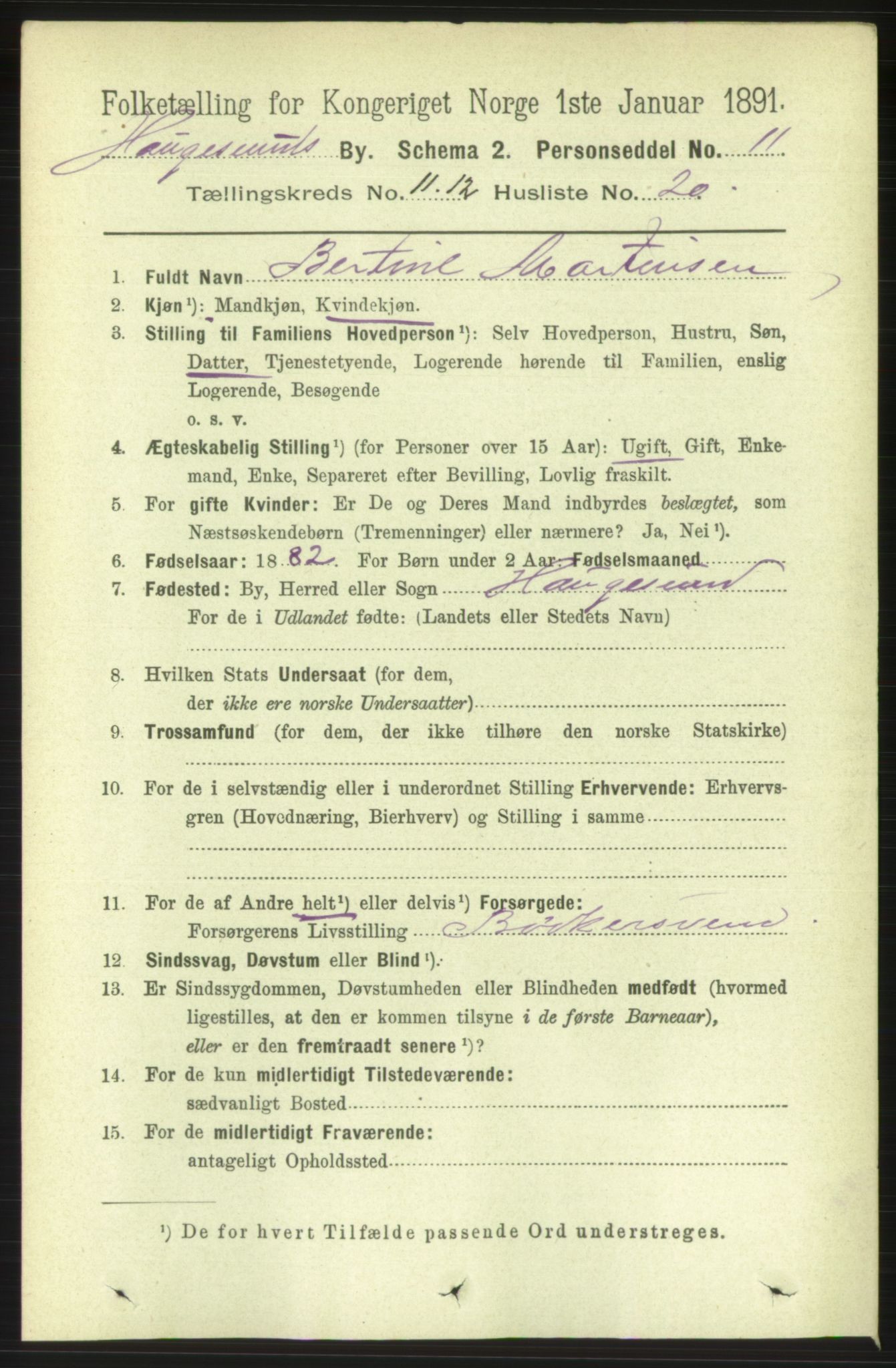 RA, 1891 census for 1106 Haugesund, 1891, p. 4202