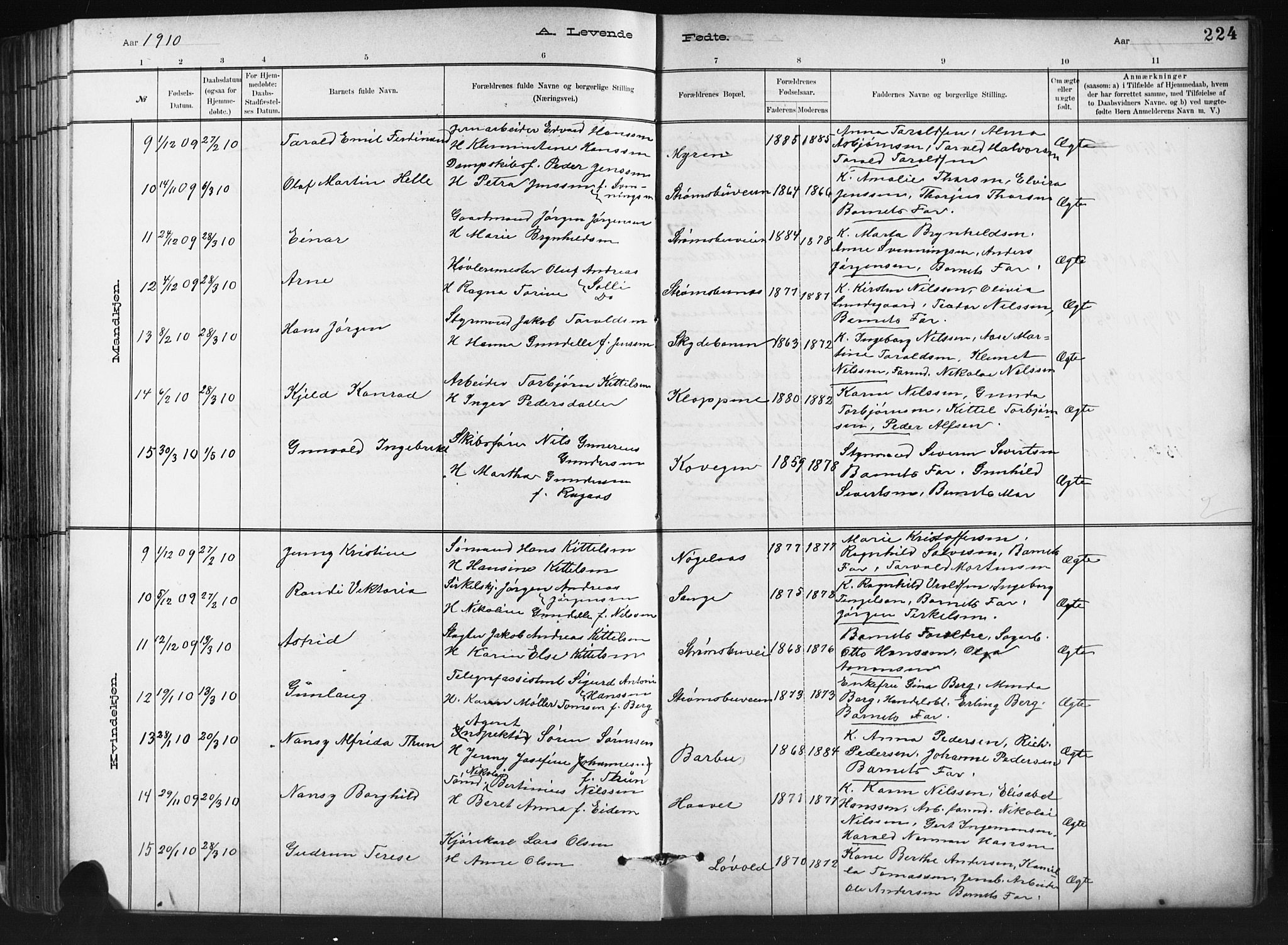 Barbu sokneprestkontor, AV/SAK-1111-0003/F/Fb/L0002: Parish register (copy) no. B 2, 1890-1922, p. 224