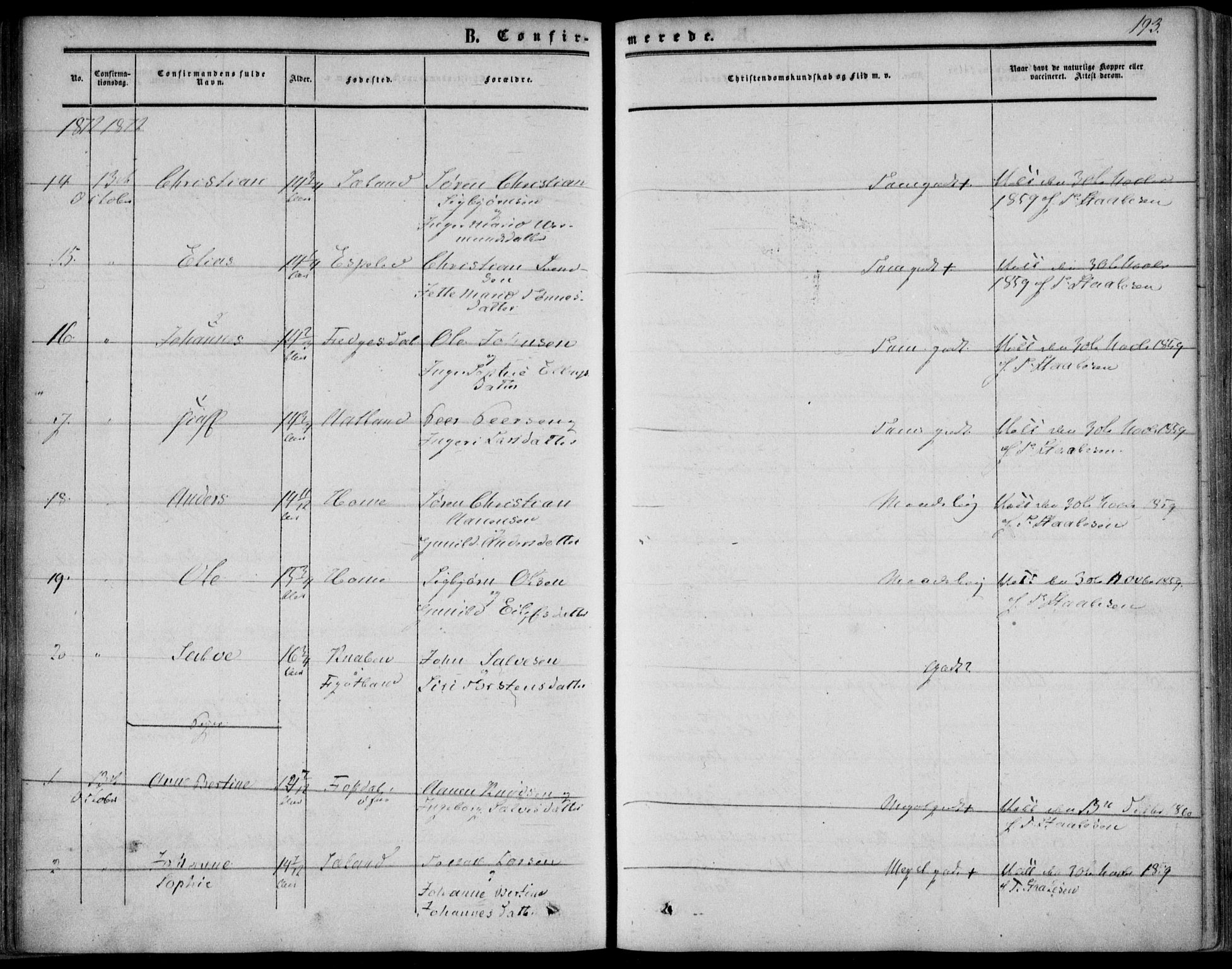 Bakke sokneprestkontor, AV/SAK-1111-0002/F/Fa/Fab/L0002: Parish register (official) no. A 2, 1855-1884, p. 193