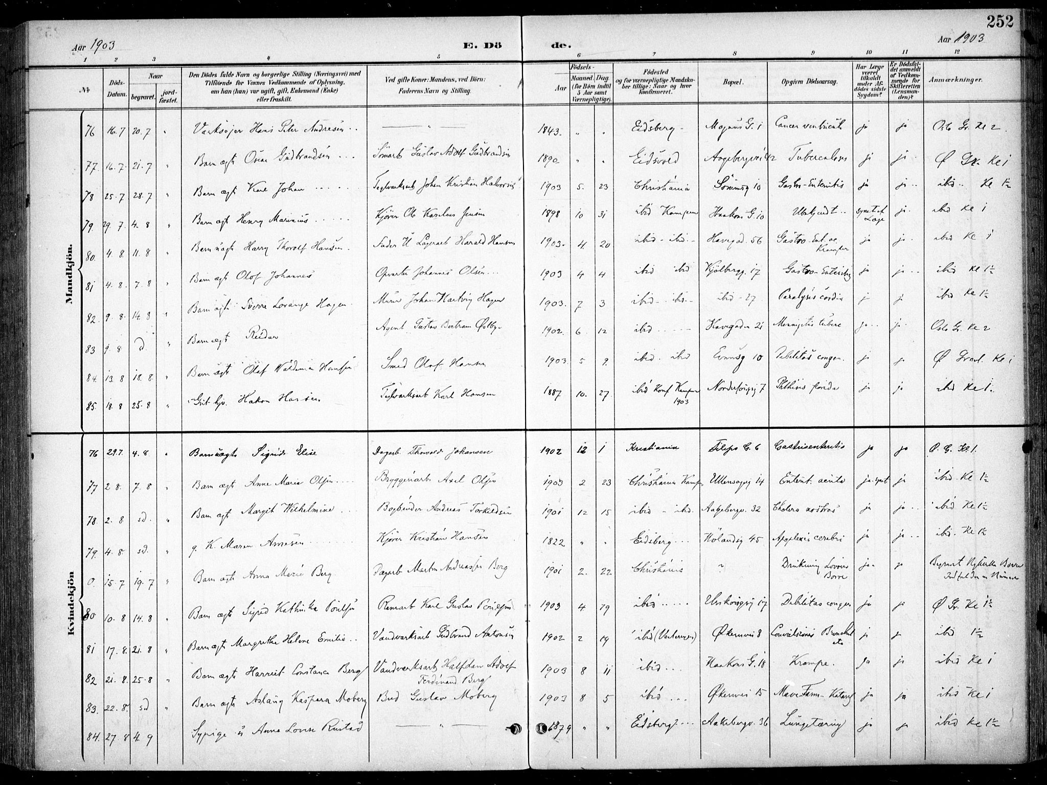 Kampen prestekontor Kirkebøker, AV/SAO-A-10853/F/Fa/L0009: Parish register (official) no. I 9, 1899-1911, p. 252