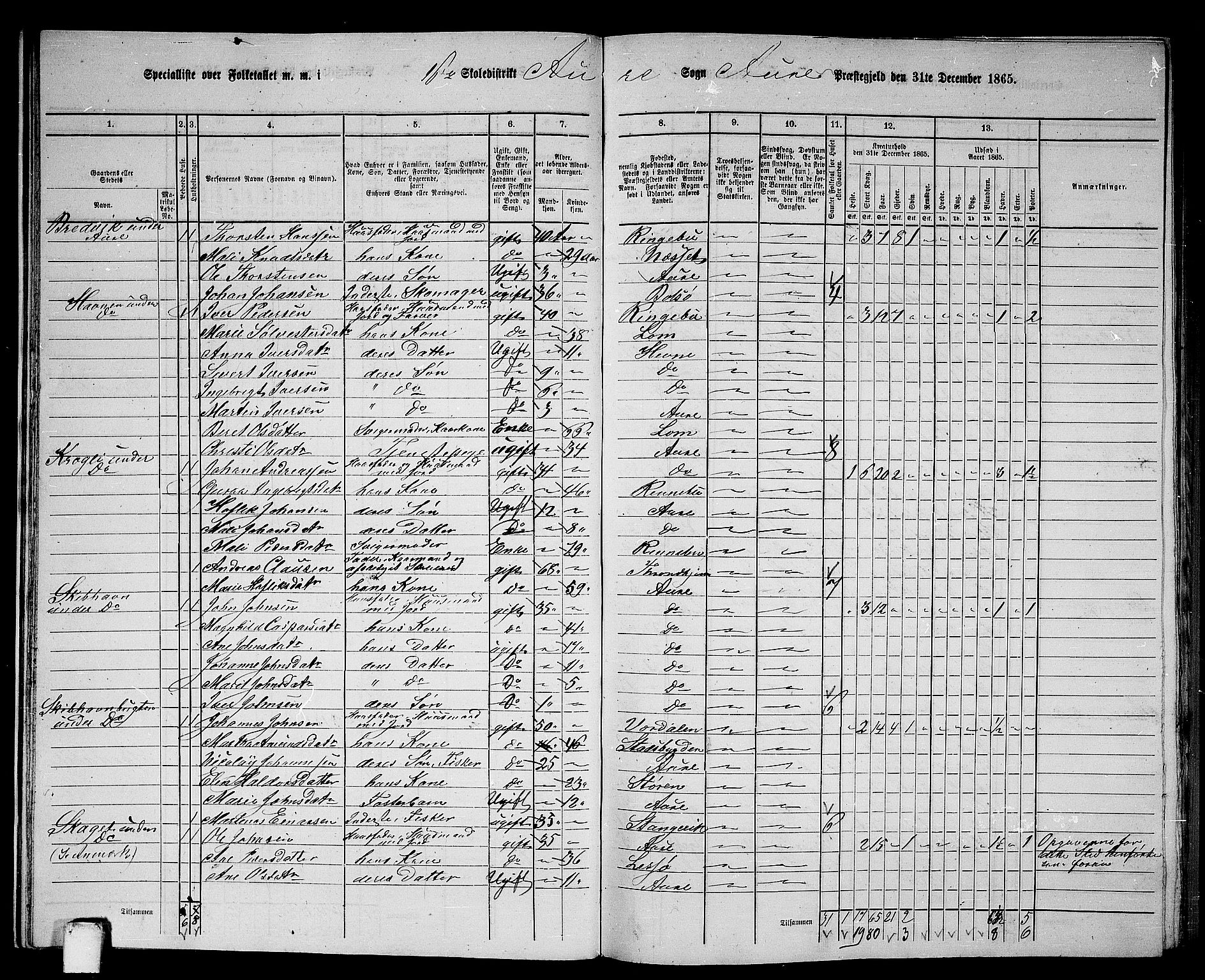 RA, 1865 census for Aure, 1865, p. 20