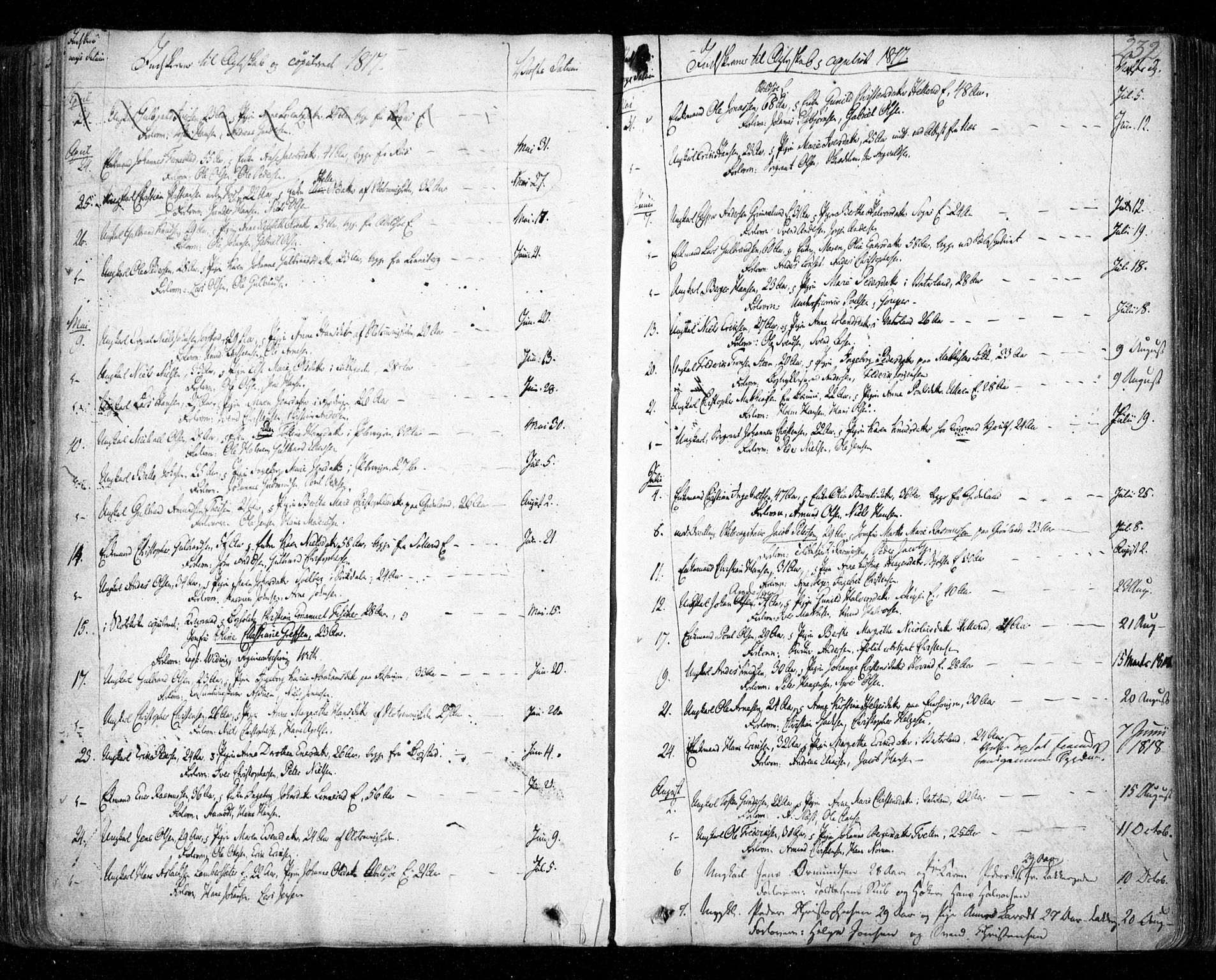 Aker prestekontor kirkebøker, AV/SAO-A-10861/F/L0011: Parish register (official) no. 11, 1810-1819, p. 232