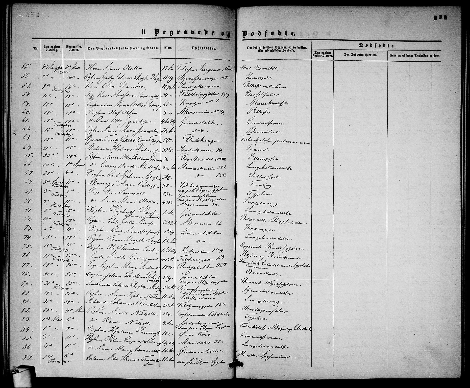 Gamle Aker prestekontor Kirkebøker, SAO/A-10617a/G/L0001: Parish register (copy) no. 1, 1861-1868, p. 256