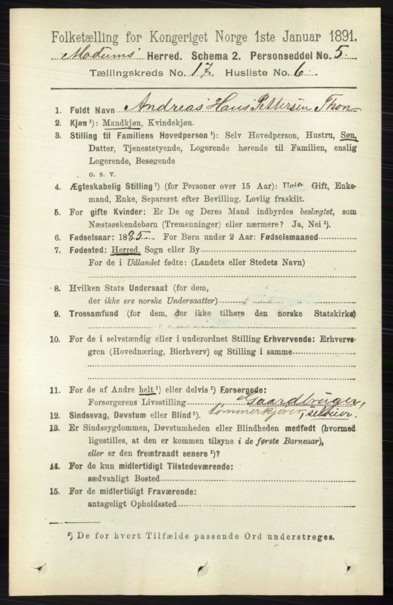 RA, 1891 census for 0623 Modum, 1891, p. 6666