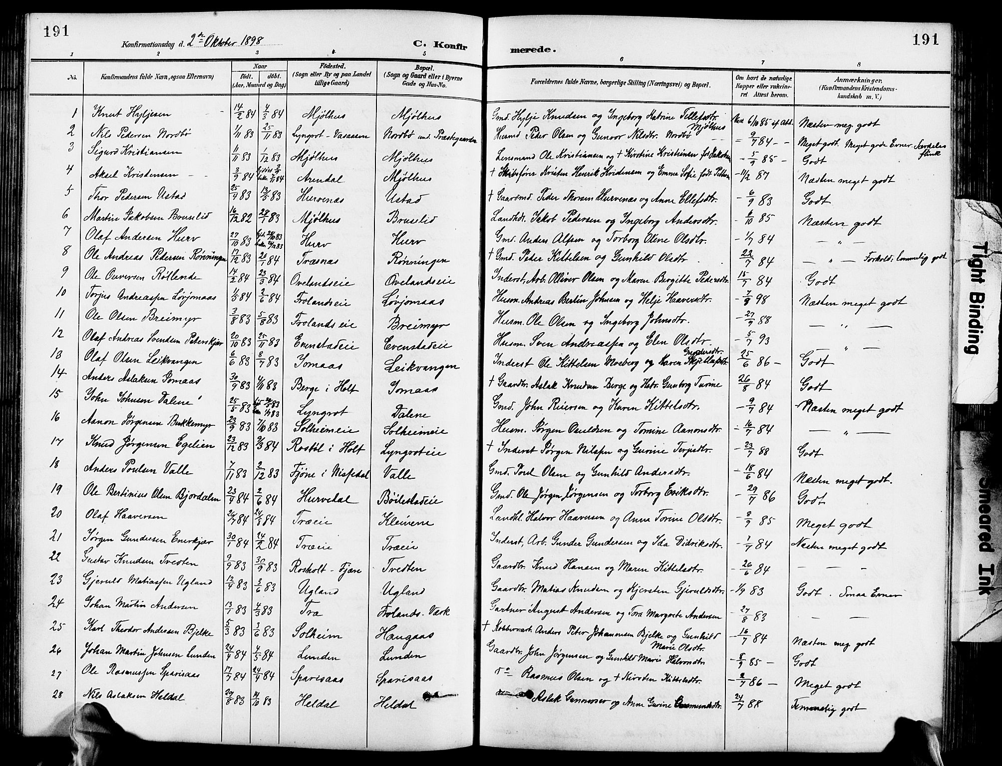 Froland sokneprestkontor, SAK/1111-0013/F/Fb/L0010: Parish register (copy) no. B 10, 1893-1920, p. 191