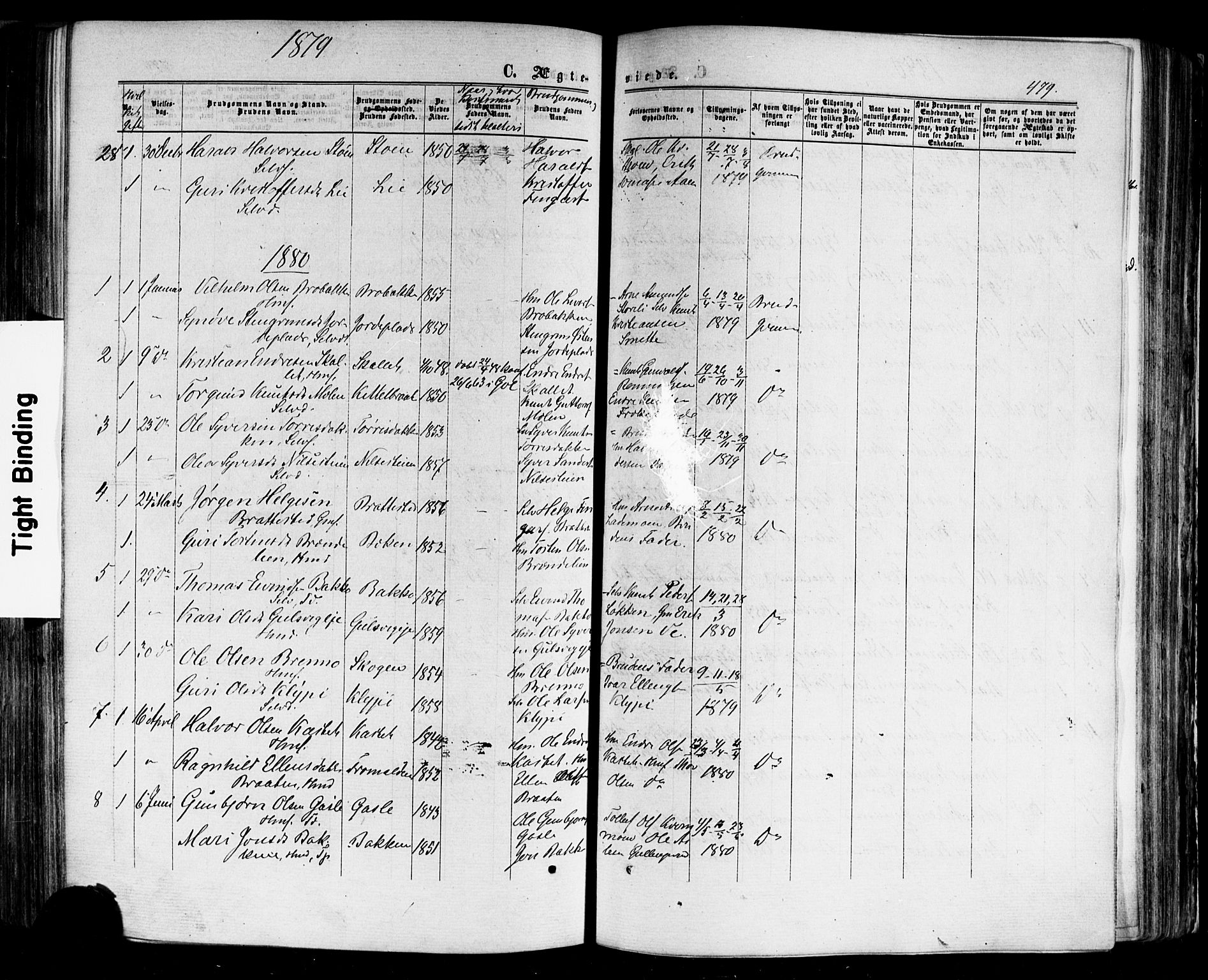 Nes kirkebøker, SAKO/A-236/F/Fa/L0010: Parish register (official) no. 10, 1864-1880, p. 479