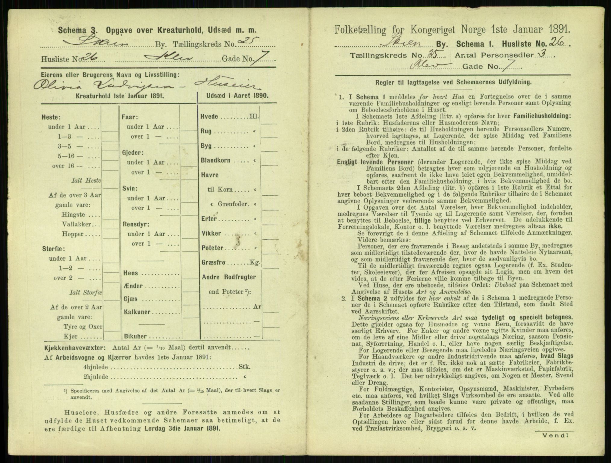 RA, 1891 census for 0806 Skien, 1891, p. 970