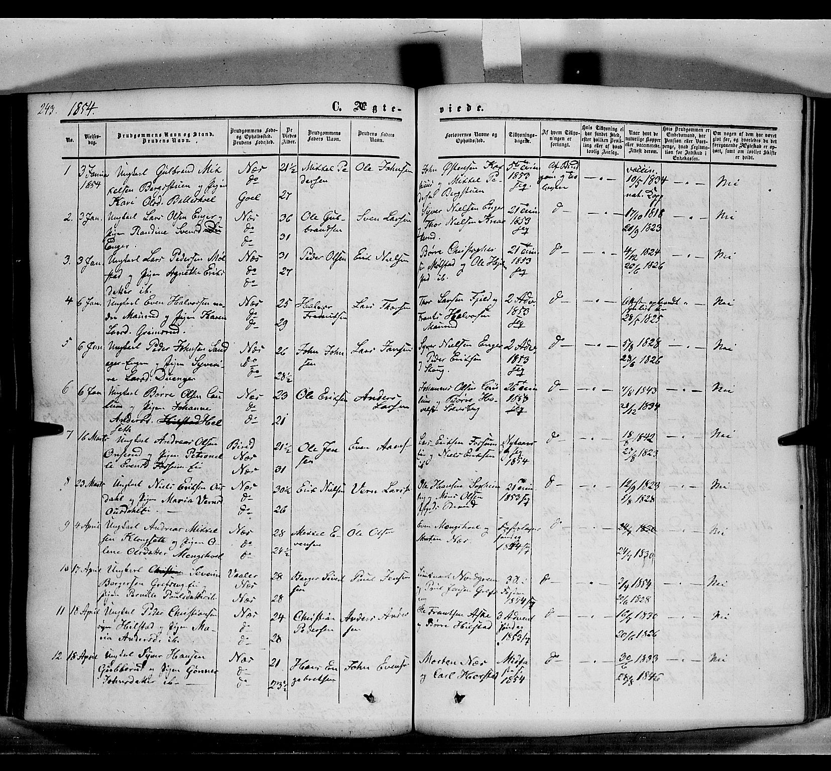 Nes prestekontor, Hedmark, SAH/PREST-020/K/Ka/L0004: Parish register (official) no. 4, 1852-1886, p. 243