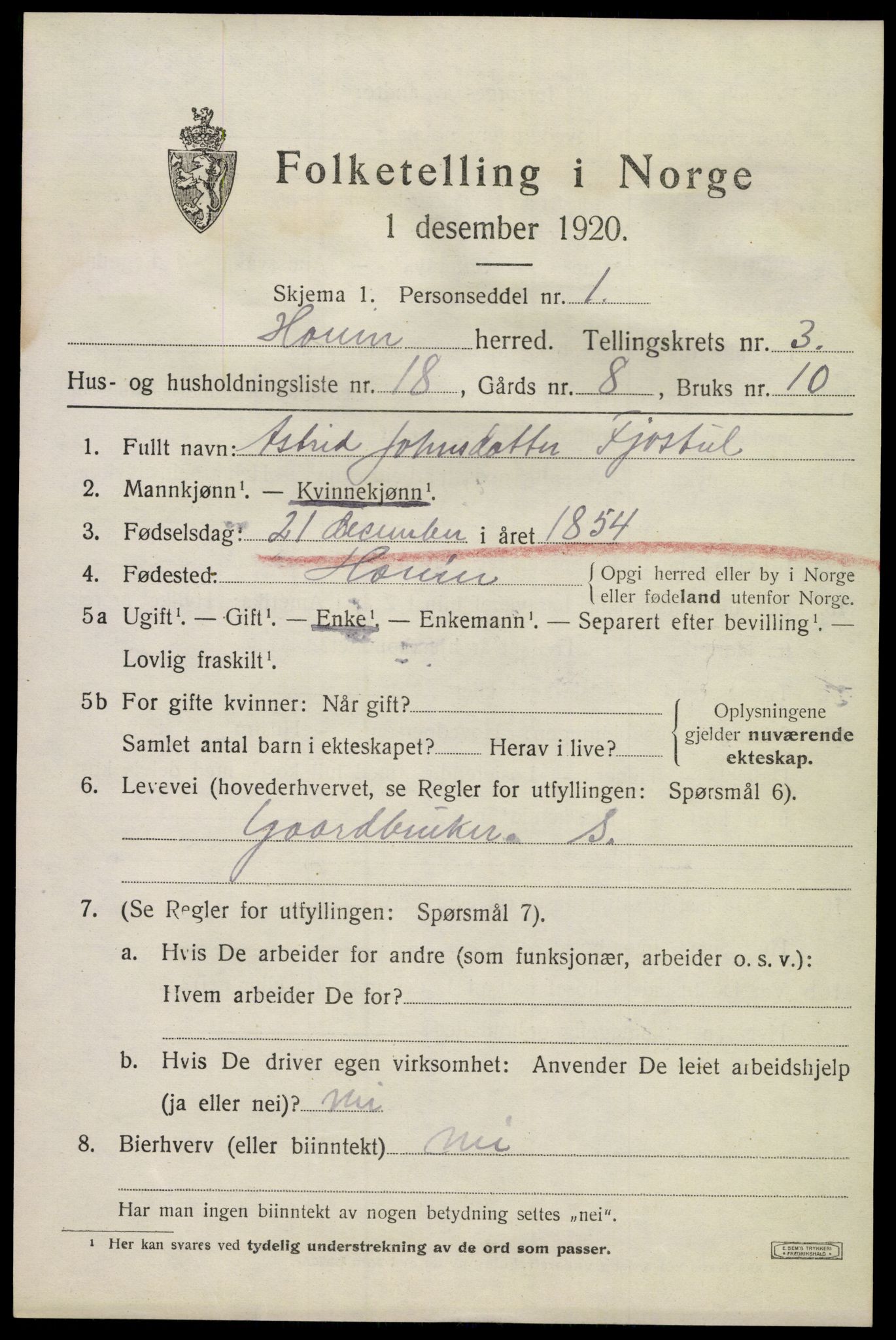 SAKO, 1920 census for Hovin, 1920, p. 1155