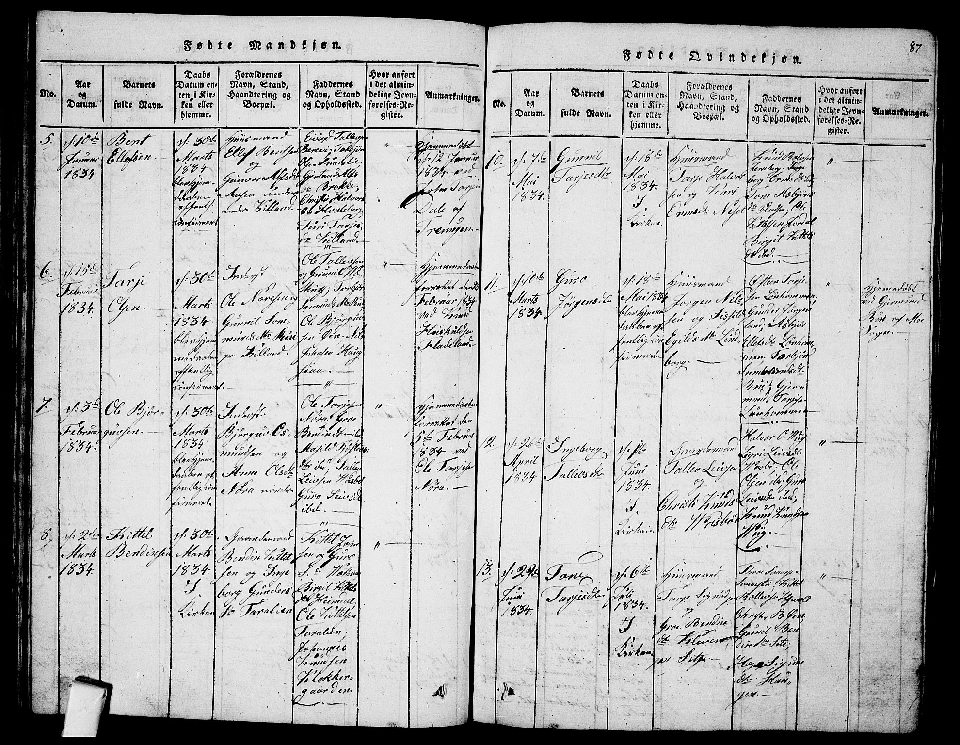 Fyresdal kirkebøker, AV/SAKO-A-263/G/Ga/L0001: Parish register (copy) no. I 1, 1816-1840, p. 87