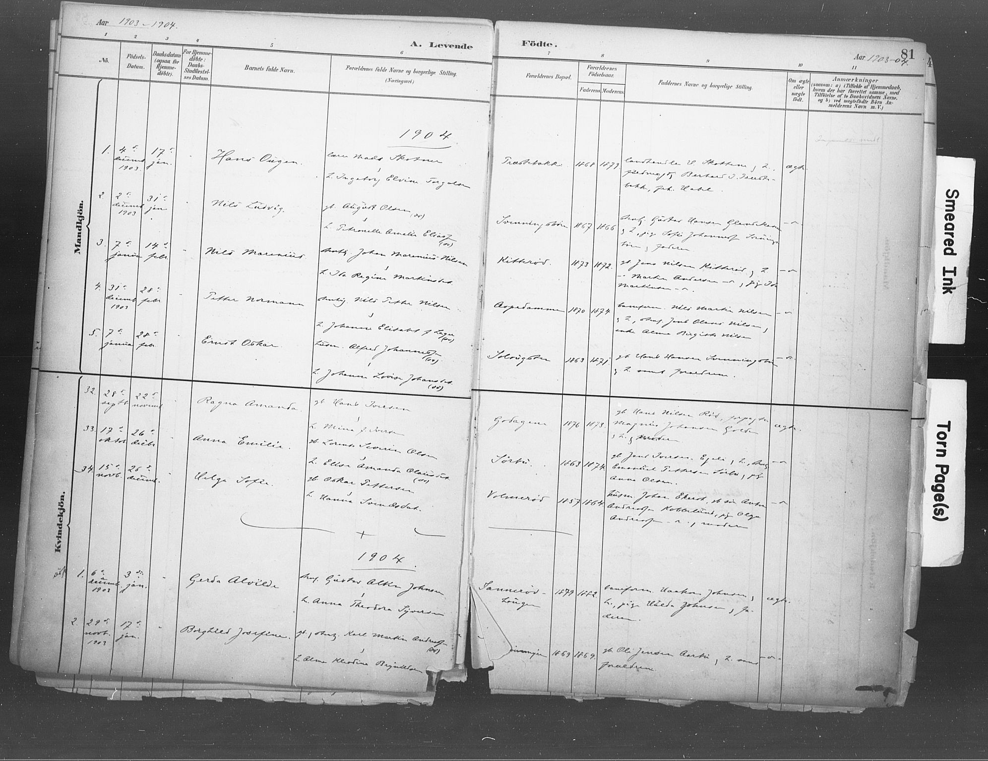 Idd prestekontor Kirkebøker, SAO/A-10911/F/Fb/L0002: Parish register (official) no. II 2, 1882-1923, p. 81