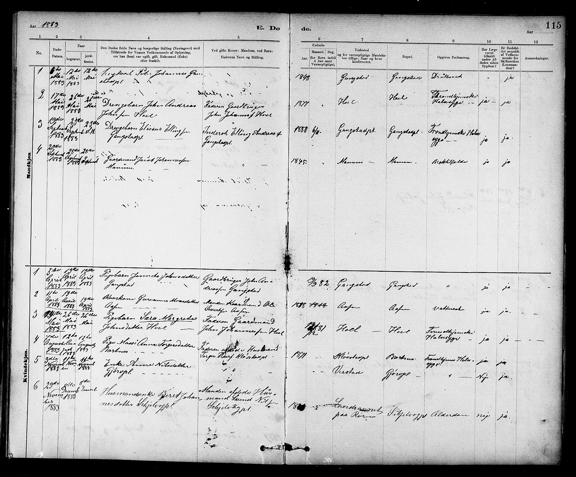 Ministerialprotokoller, klokkerbøker og fødselsregistre - Nord-Trøndelag, SAT/A-1458/732/L0318: Parish register (copy) no. 732C02, 1881-1911, p. 115