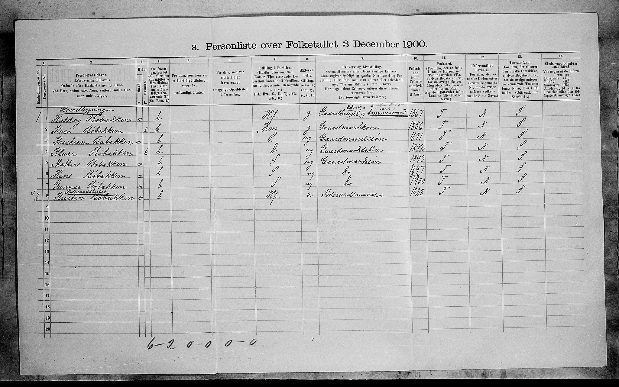 SAH, 1900 census for Lesja, 1900, p. 802