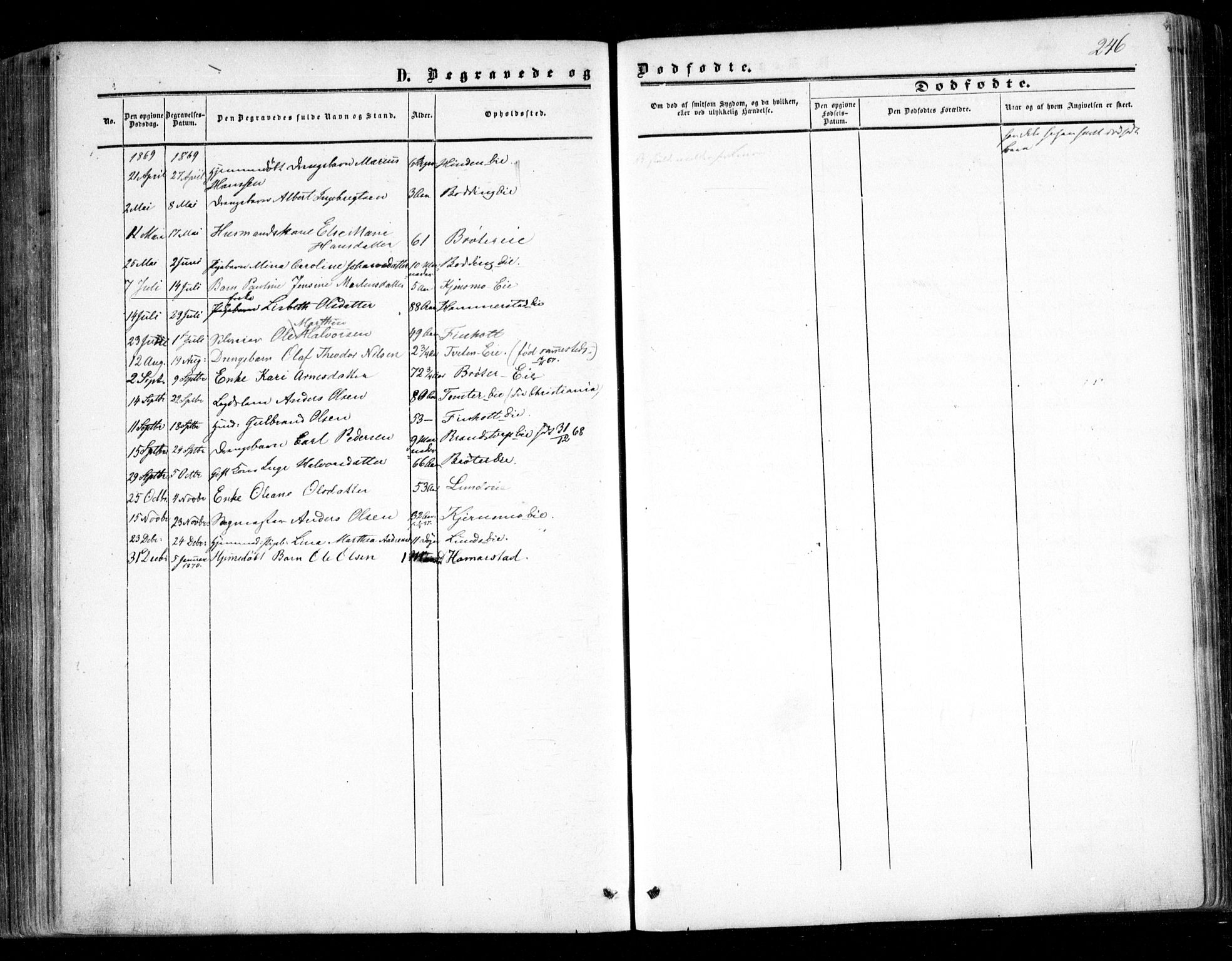 Nes prestekontor Kirkebøker, SAO/A-10410/F/Fc/L0001: Parish register (official) no. III 1, 1859-1882, p. 246