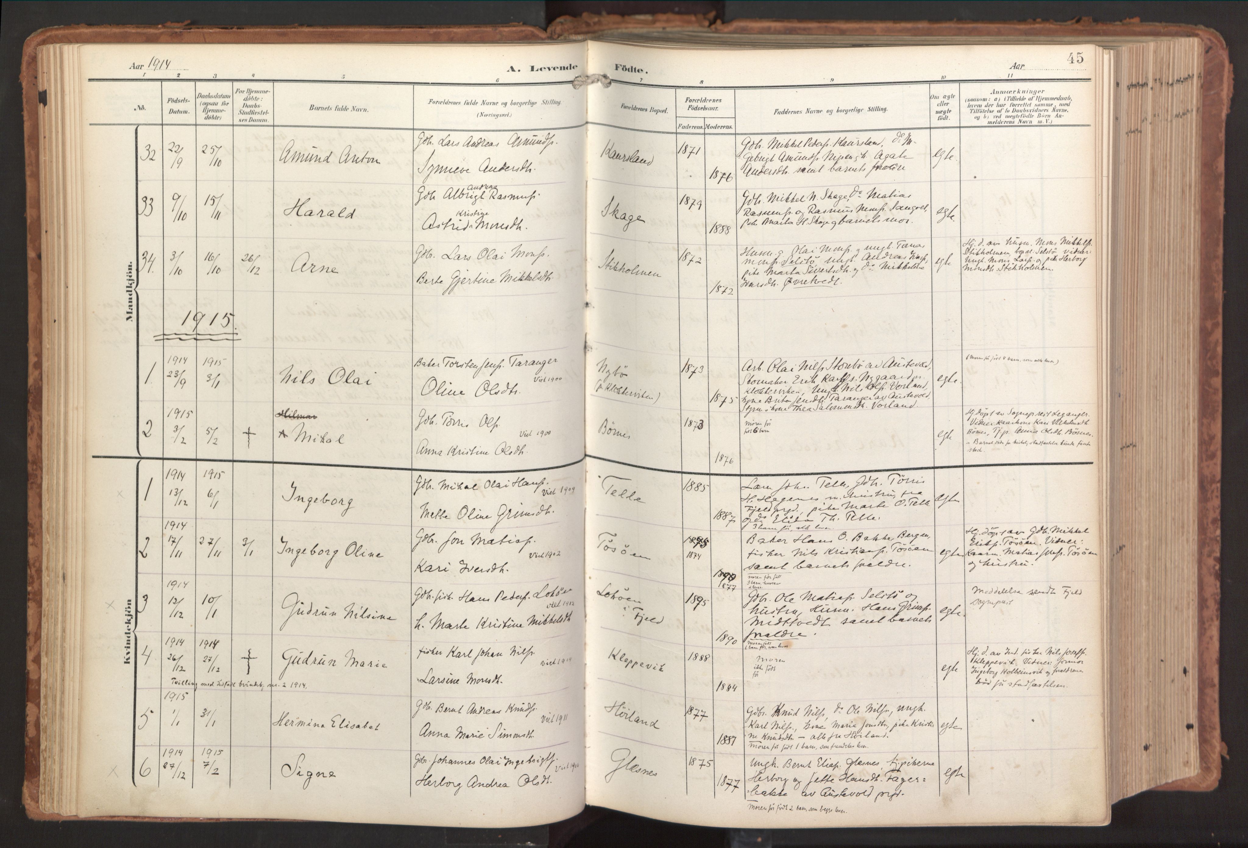 Sund sokneprestembete, AV/SAB-A-99930: Parish register (official) no. B 2, 1907-1926, p. 45