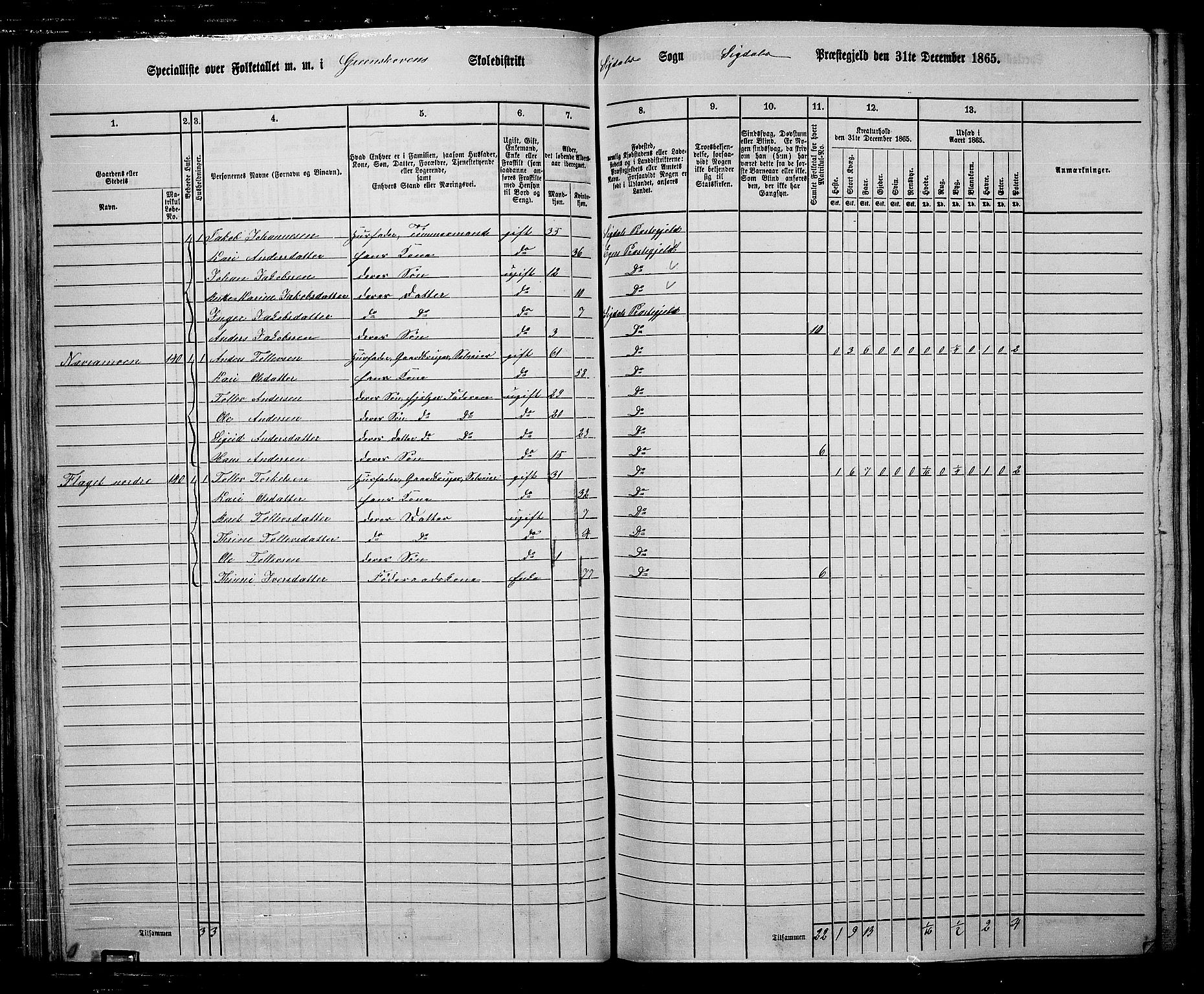 RA, 1865 census for Sigdal, 1865, p. 102