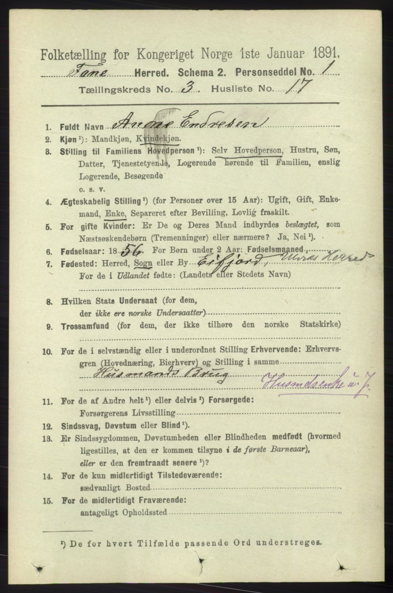 RA, 1891 census for 1249 Fana, 1891, p. 1000