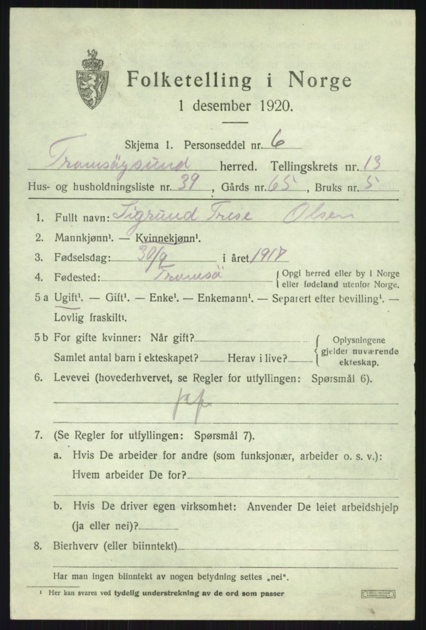 SATØ, 1920 census for Tromsøysund, 1920, p. 8494