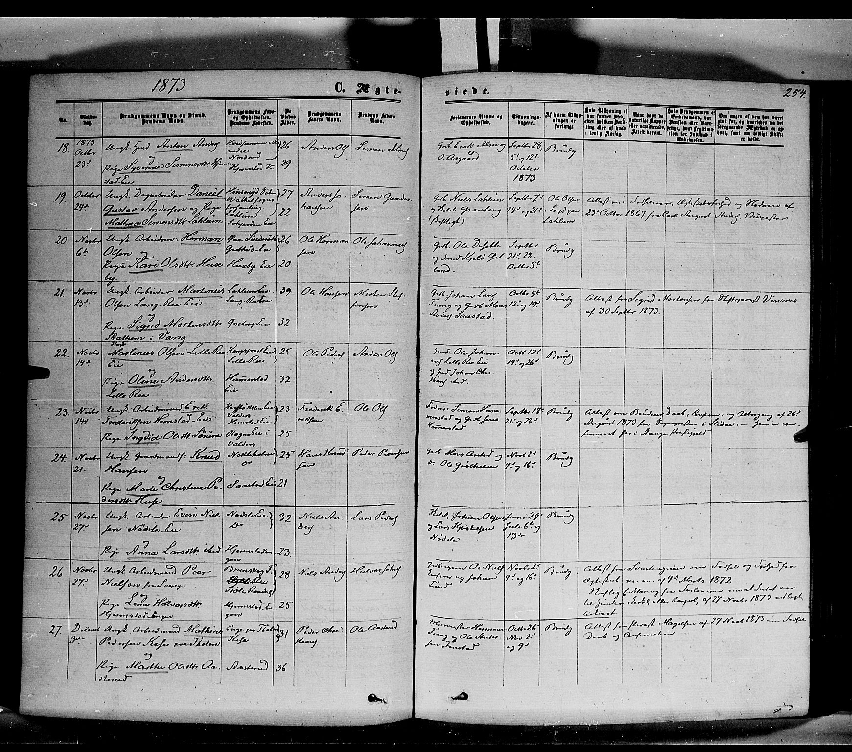 Stange prestekontor, SAH/PREST-002/K/L0013: Parish register (official) no. 13, 1862-1879, p. 254