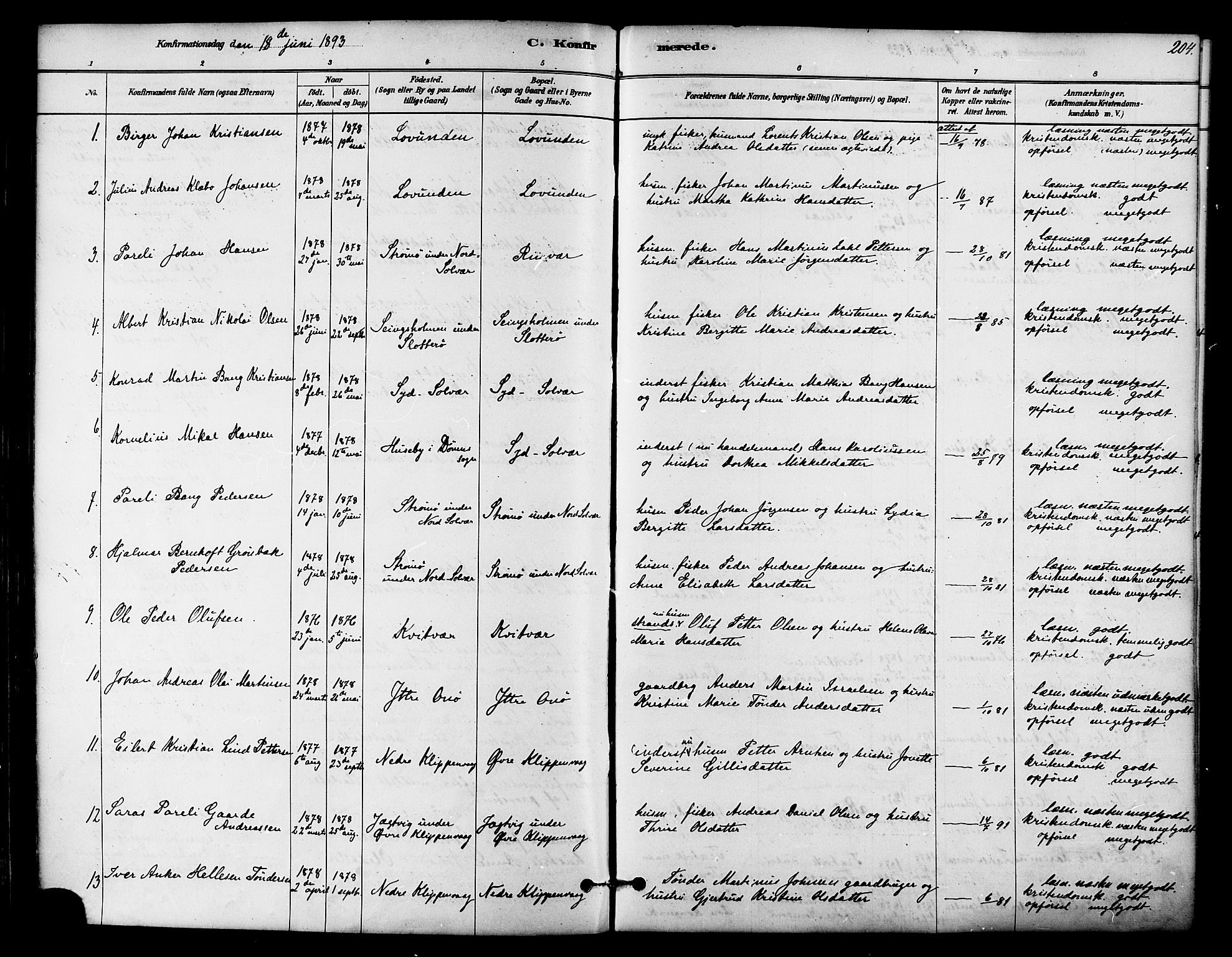 Ministerialprotokoller, klokkerbøker og fødselsregistre - Nordland, AV/SAT-A-1459/839/L0568: Parish register (official) no. 839A05, 1880-1902, p. 204