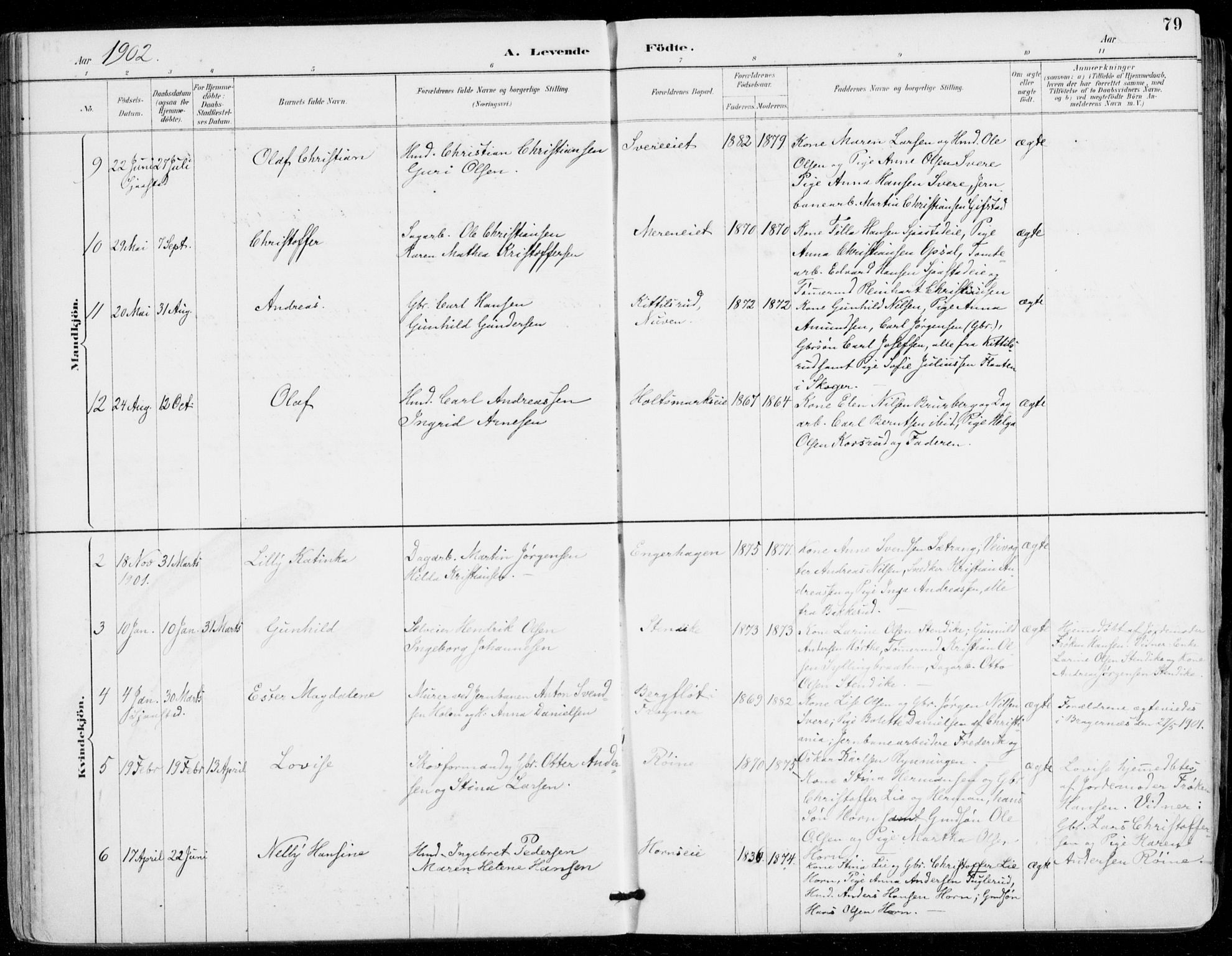 Sylling kirkebøker, AV/SAKO-A-247/F/Fa/L0001: Parish register (official) no. 1, 1883-1910, p. 79