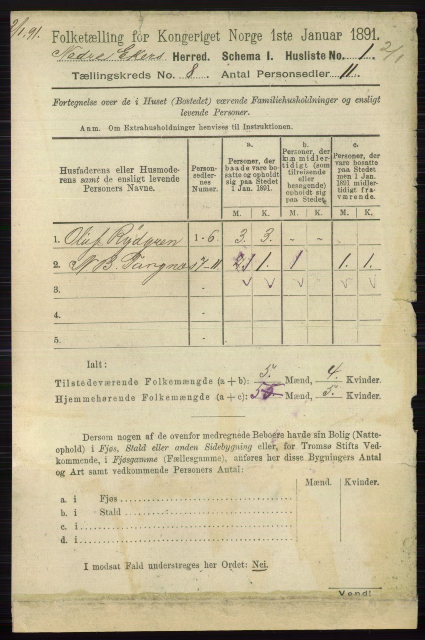 RA, 1891 census for 0625 Nedre Eiker, 1891, p. 3897