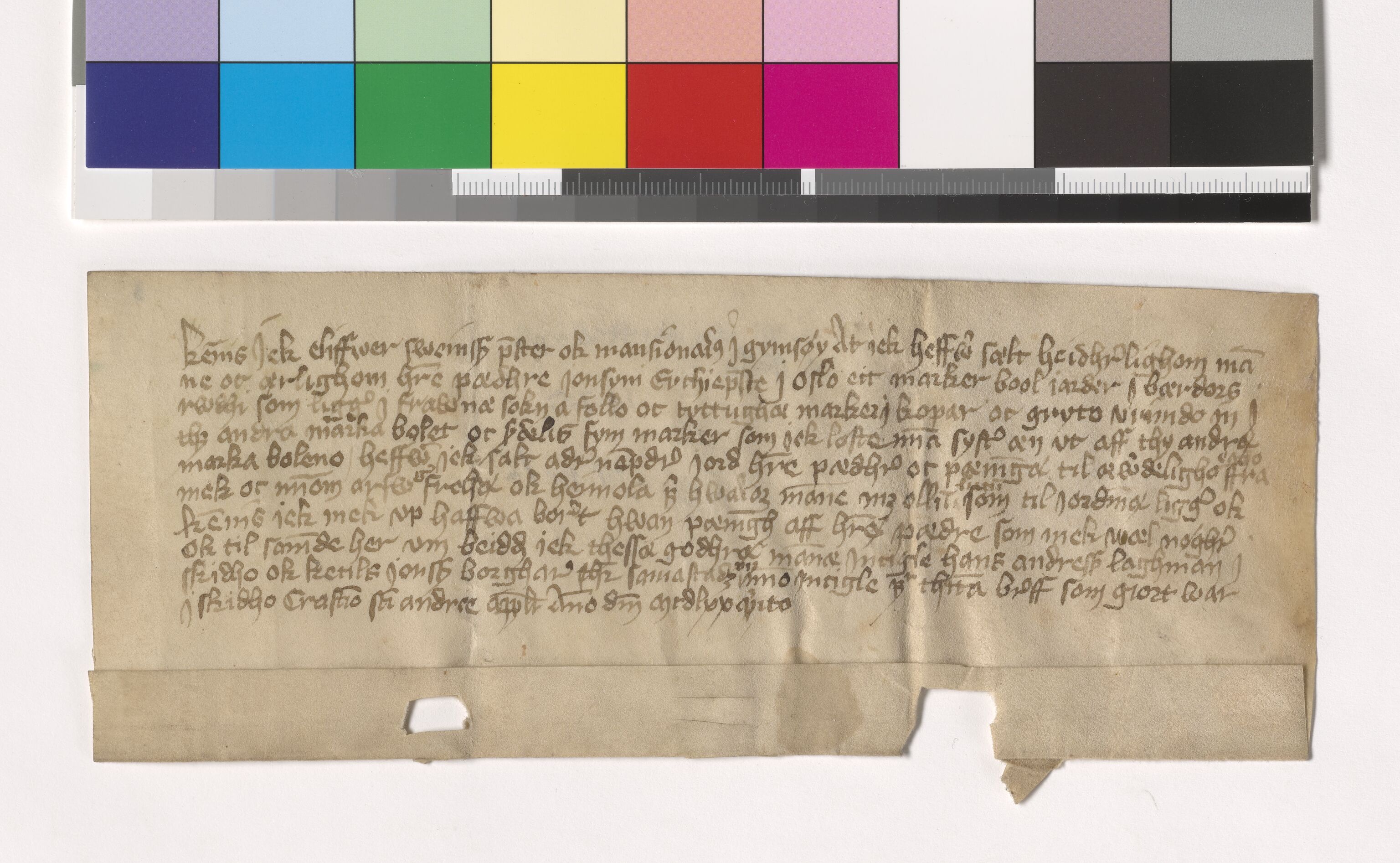Riksarkivets diplomsamling, AV/RA-EA-5965/F05/L0228: NRA AM fasc. 94 nr. 8-13, 1474-1475, p. 8