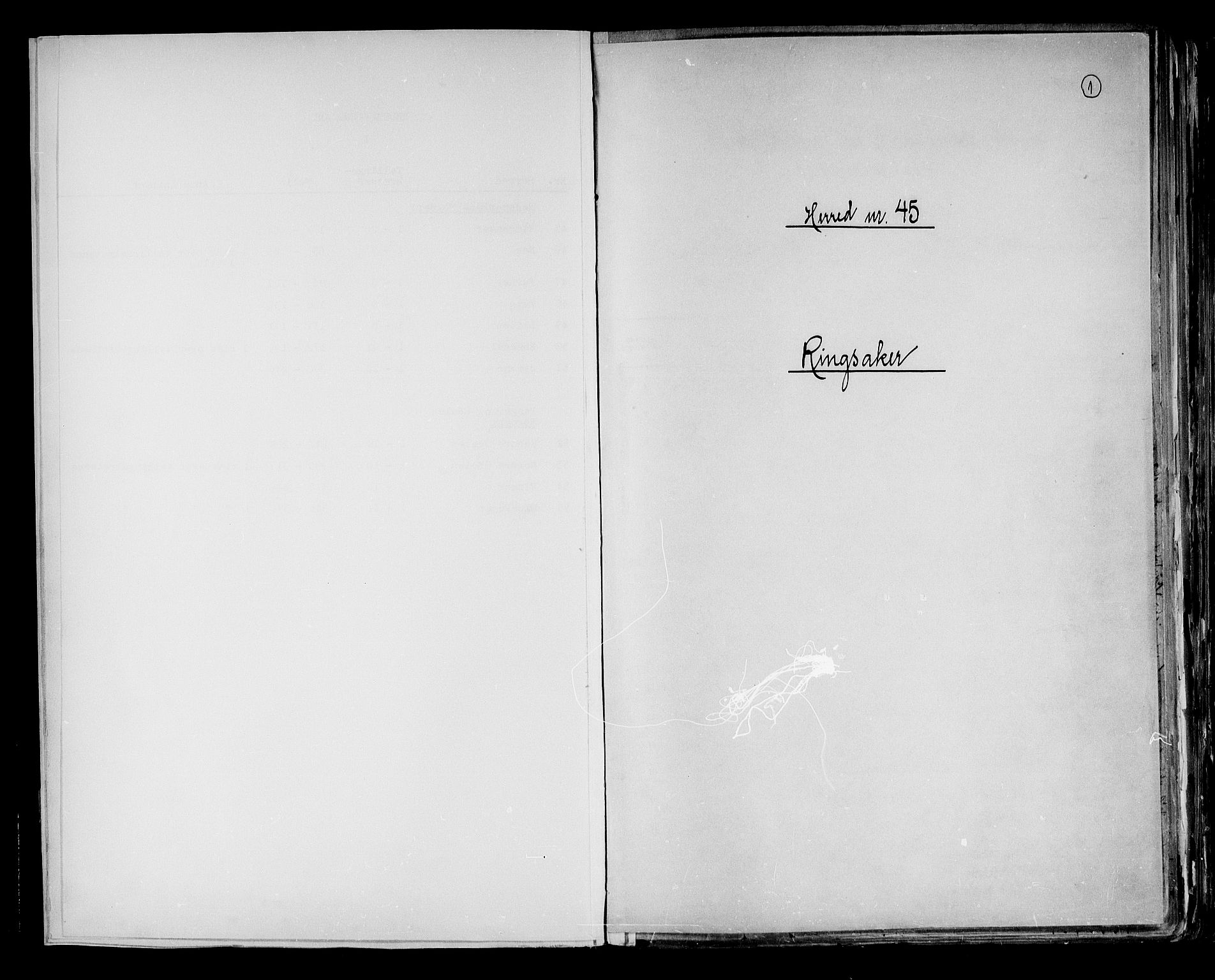 RA, 1891 census for 0412 Ringsaker, 1891, p. 1